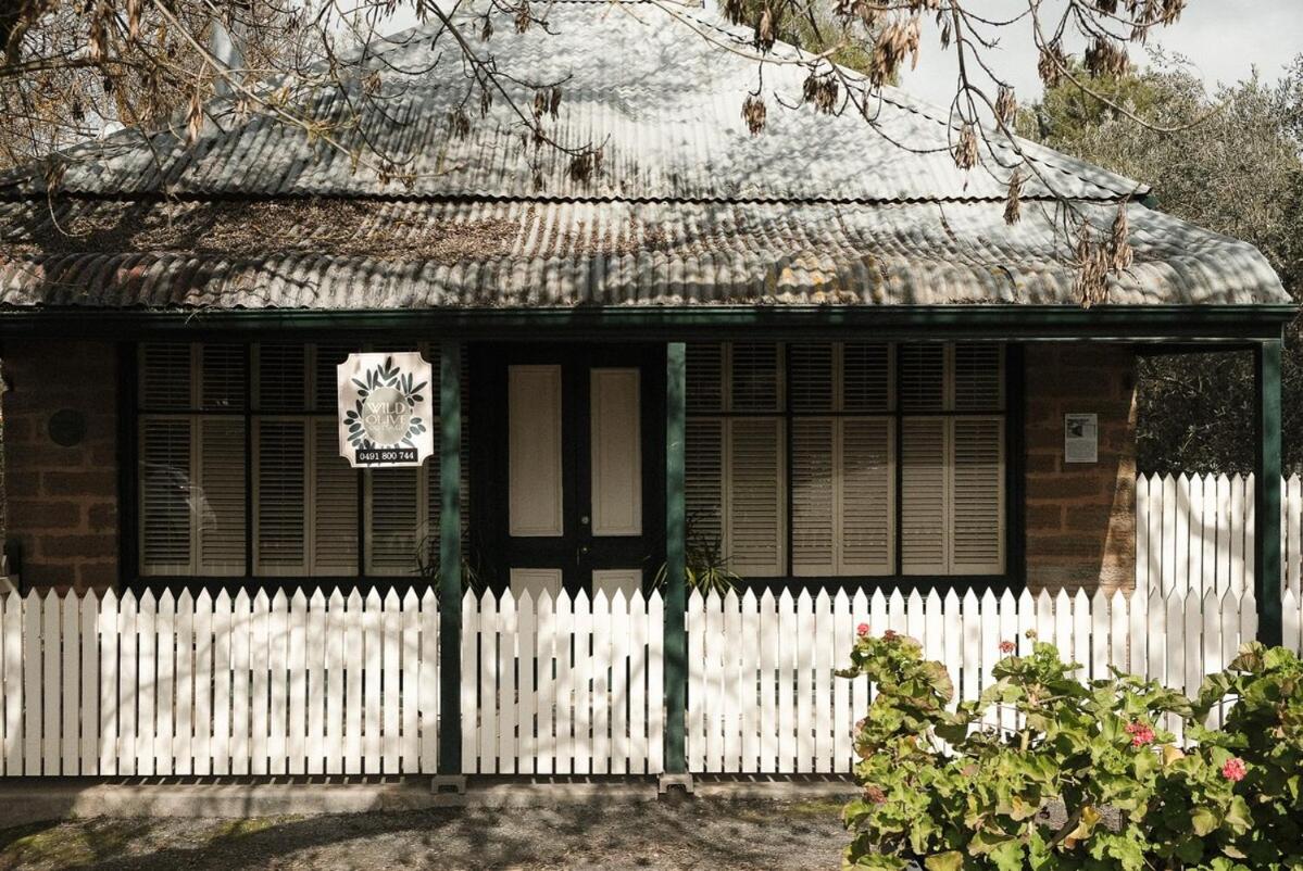 Wild Olive Cottage Clare Valley