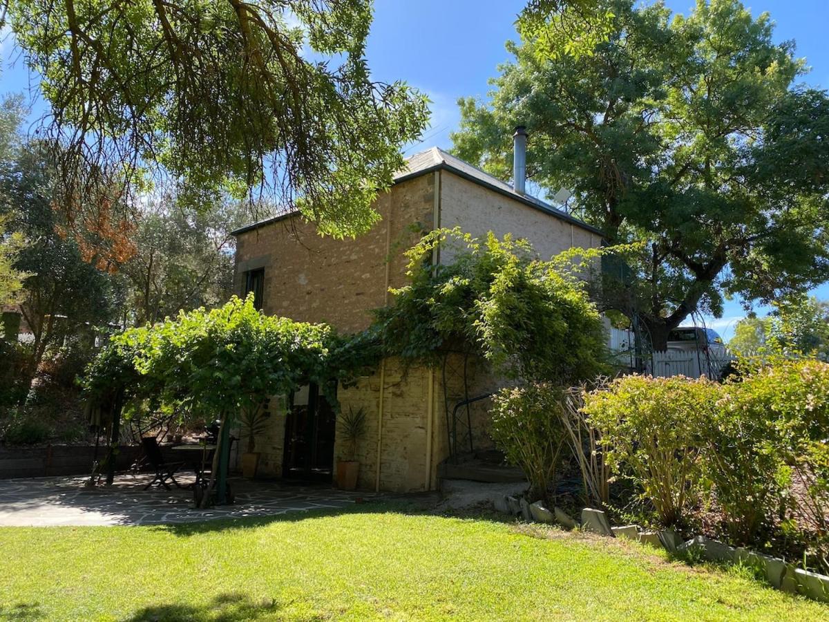 Wild Olive Cottage Clare Valley