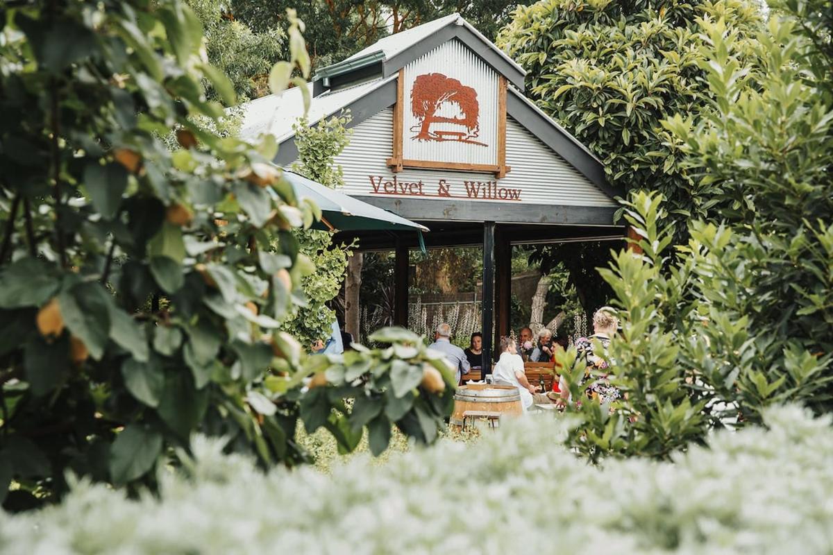 Wild Olive Cottage Clare Valley