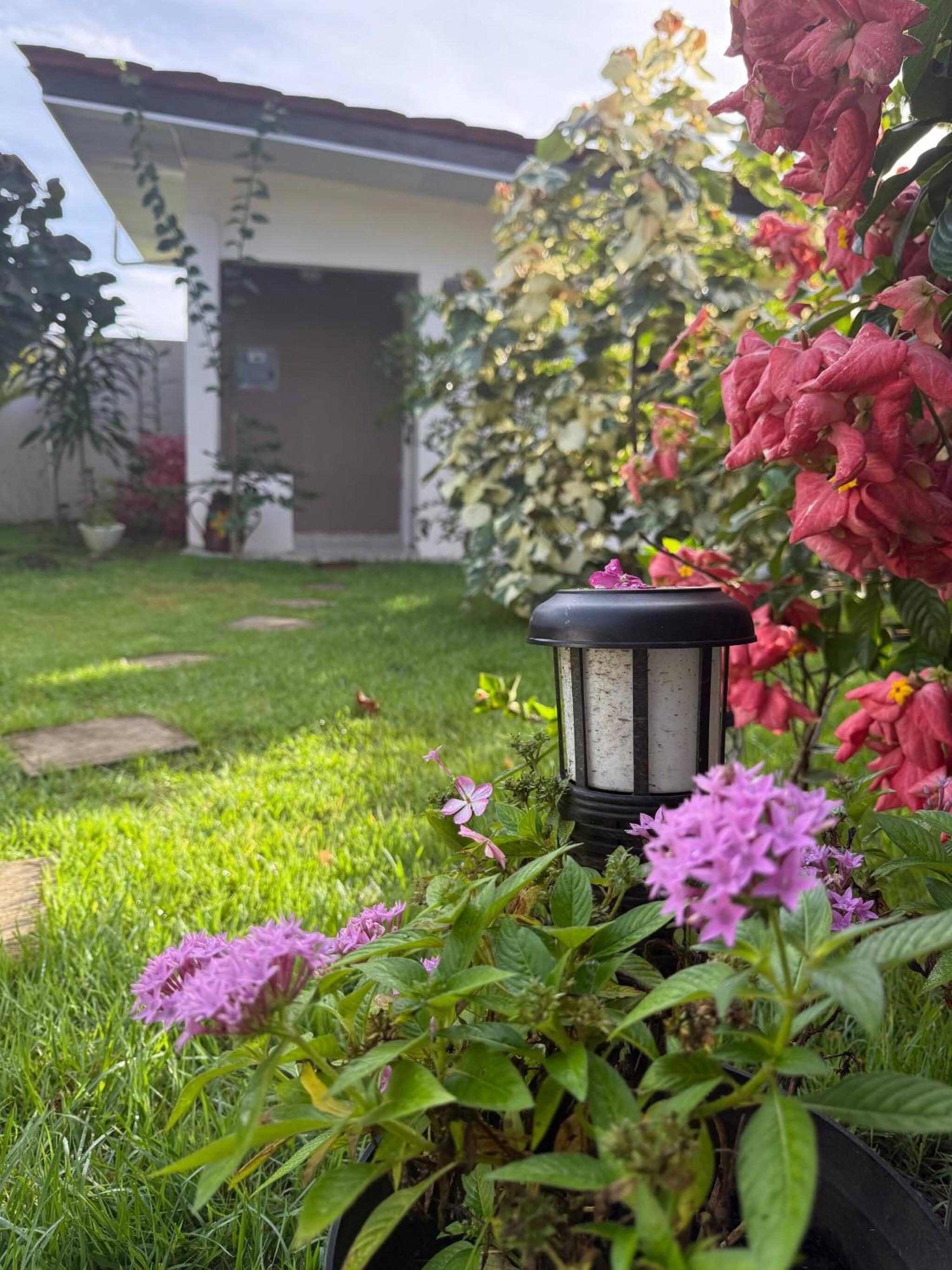 Cozy Apartment 8 minutes from Downtown David - Private Entrance Garden