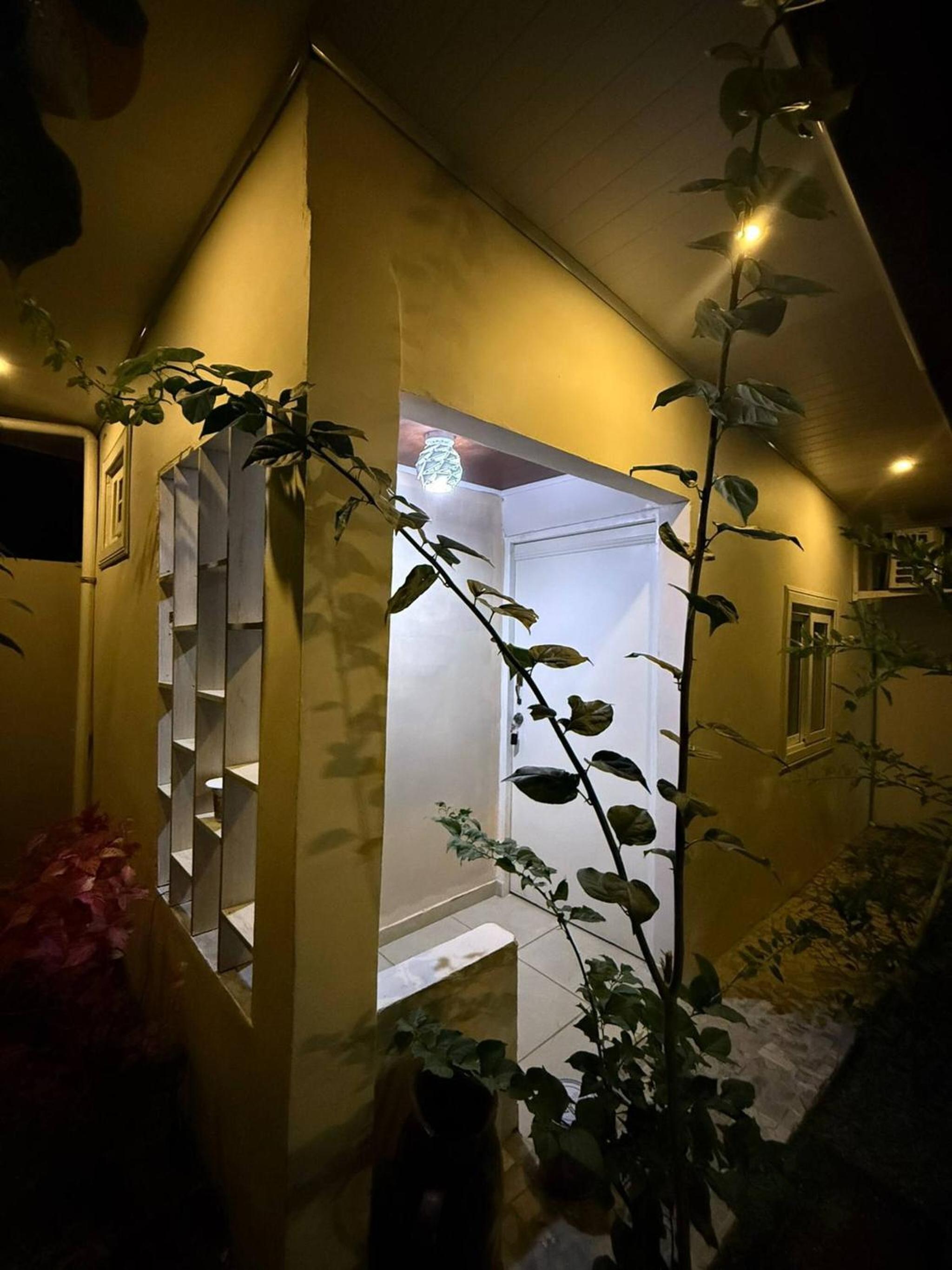 Cozy Apartment 8 minutes from Downtown David - Private Entrance Garden