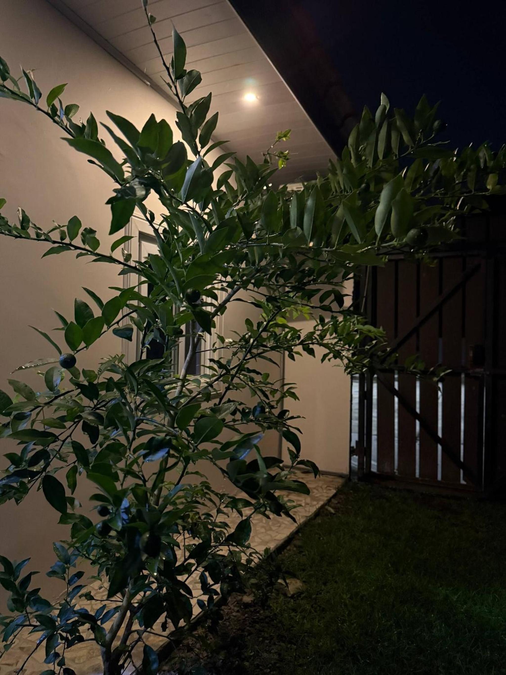 Cozy Apartment 8 minutes from Downtown David - Private Entrance Garden