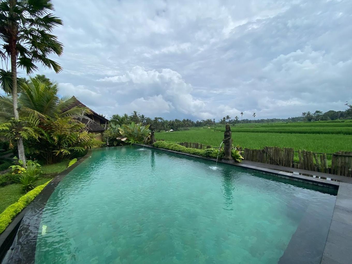 Padi Bali Villa With Private Jacuzzi