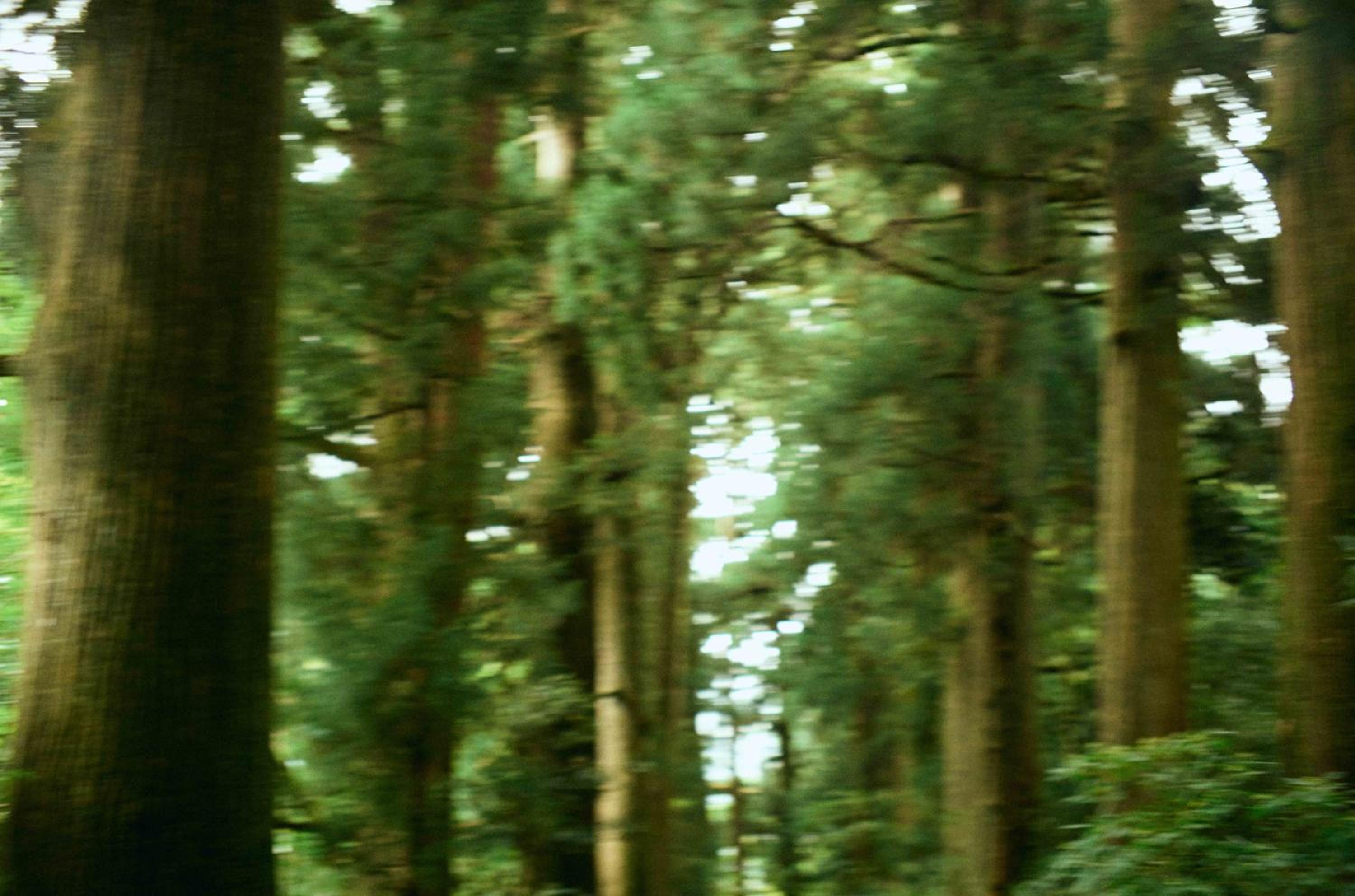 GEOSPOT Motohakone B 2025年10月 New Open