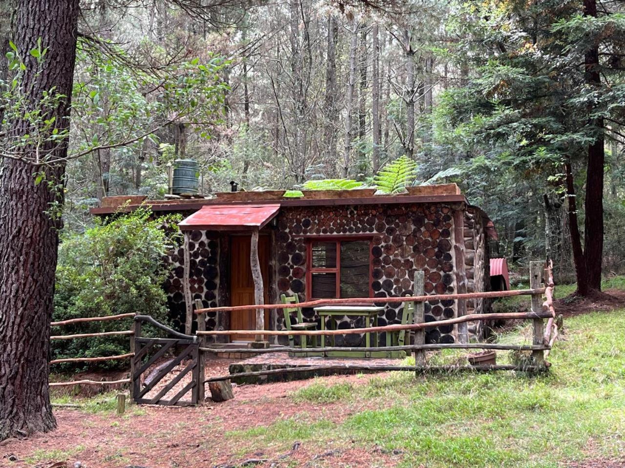 Enchanted Forest Cottage Escape!