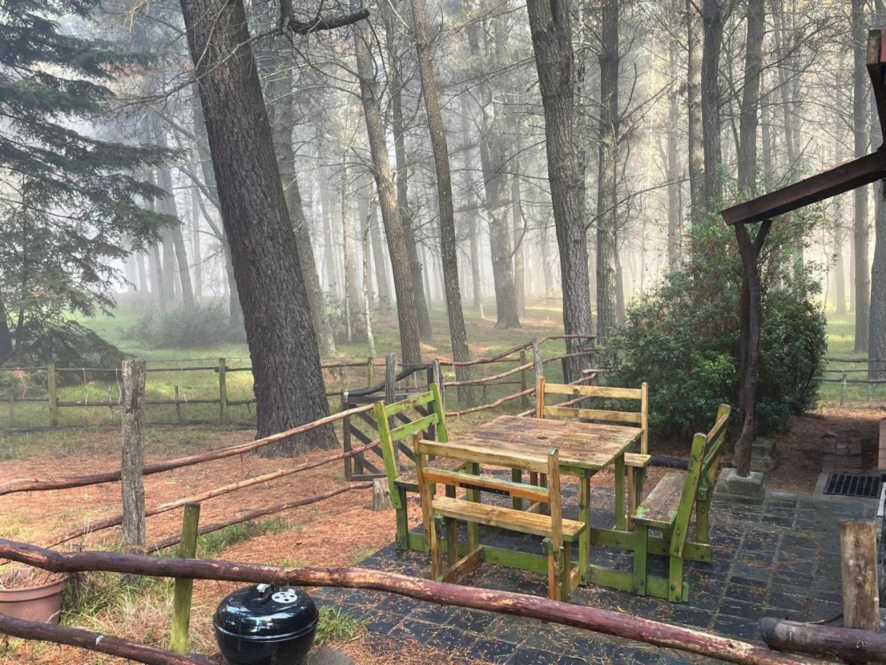 Enchanted Forest Cottage Escape!