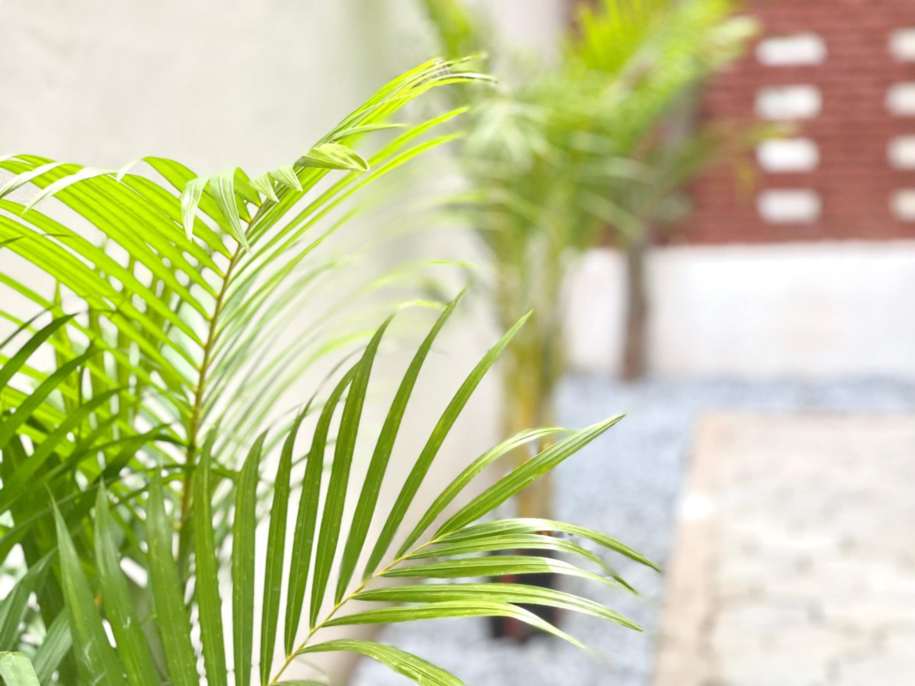 SKY VILLA - BKK Phnom Penh - Rooms & Apartments - FREE LAUNDRY