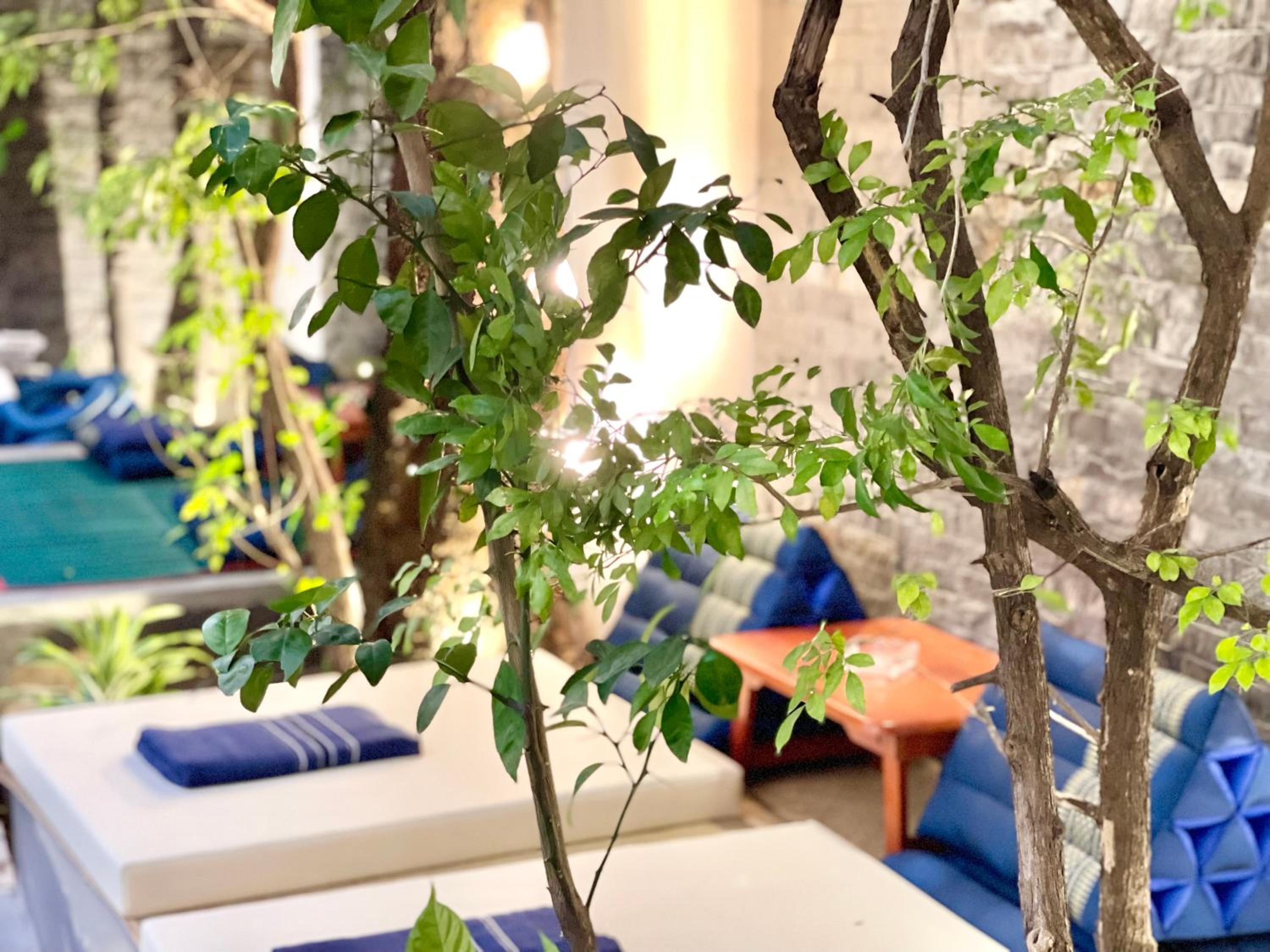 SKY VILLA - BKK Phnom Penh - Rooms & Apartments - FREE LAUNDRY
