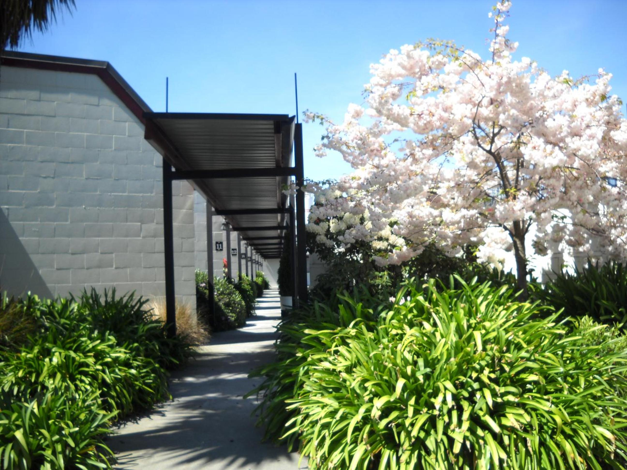 Gothic Heights Motel - Image 5