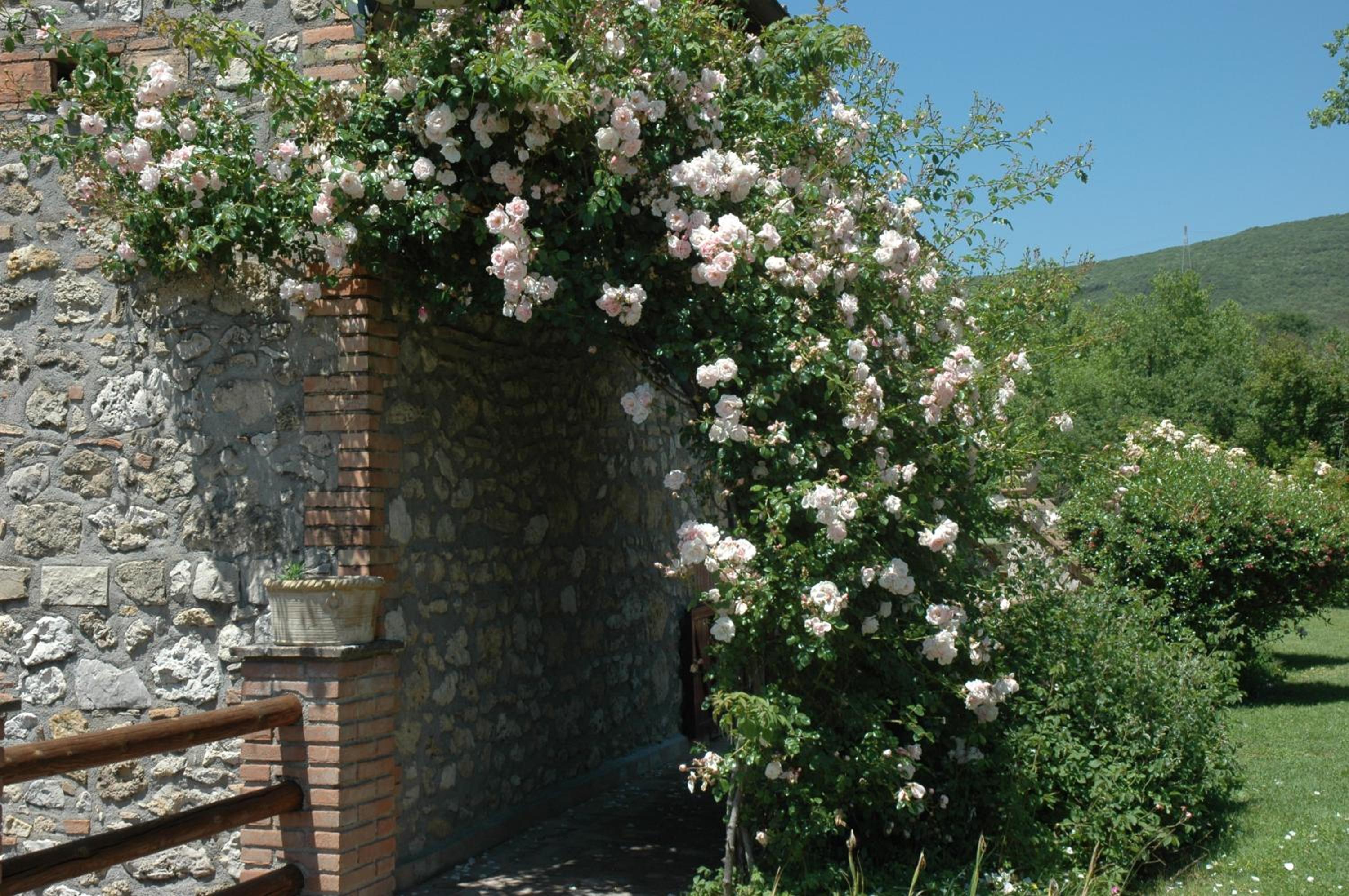 Agriturismo Tara
