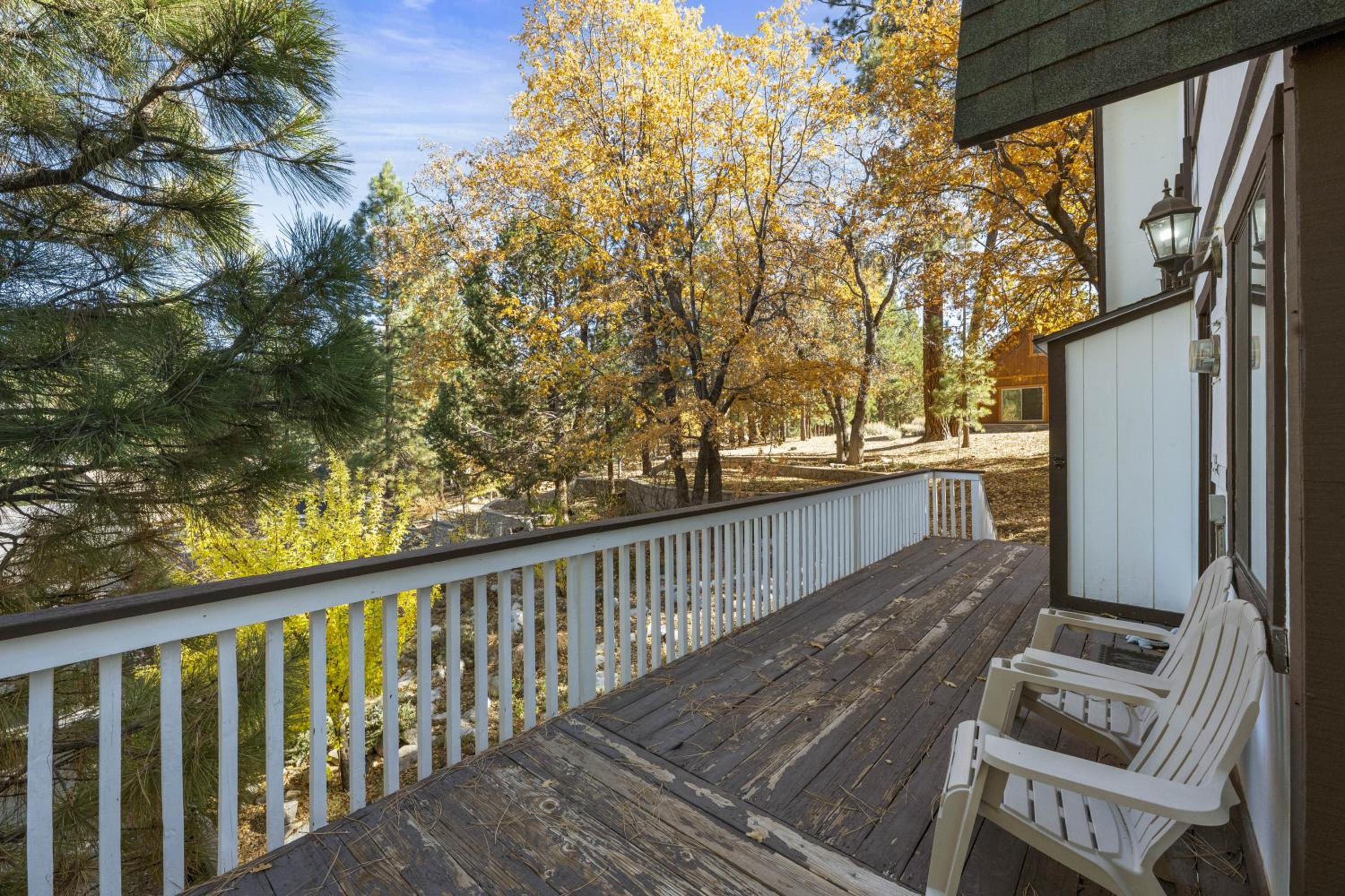 The Mountain Treehouse