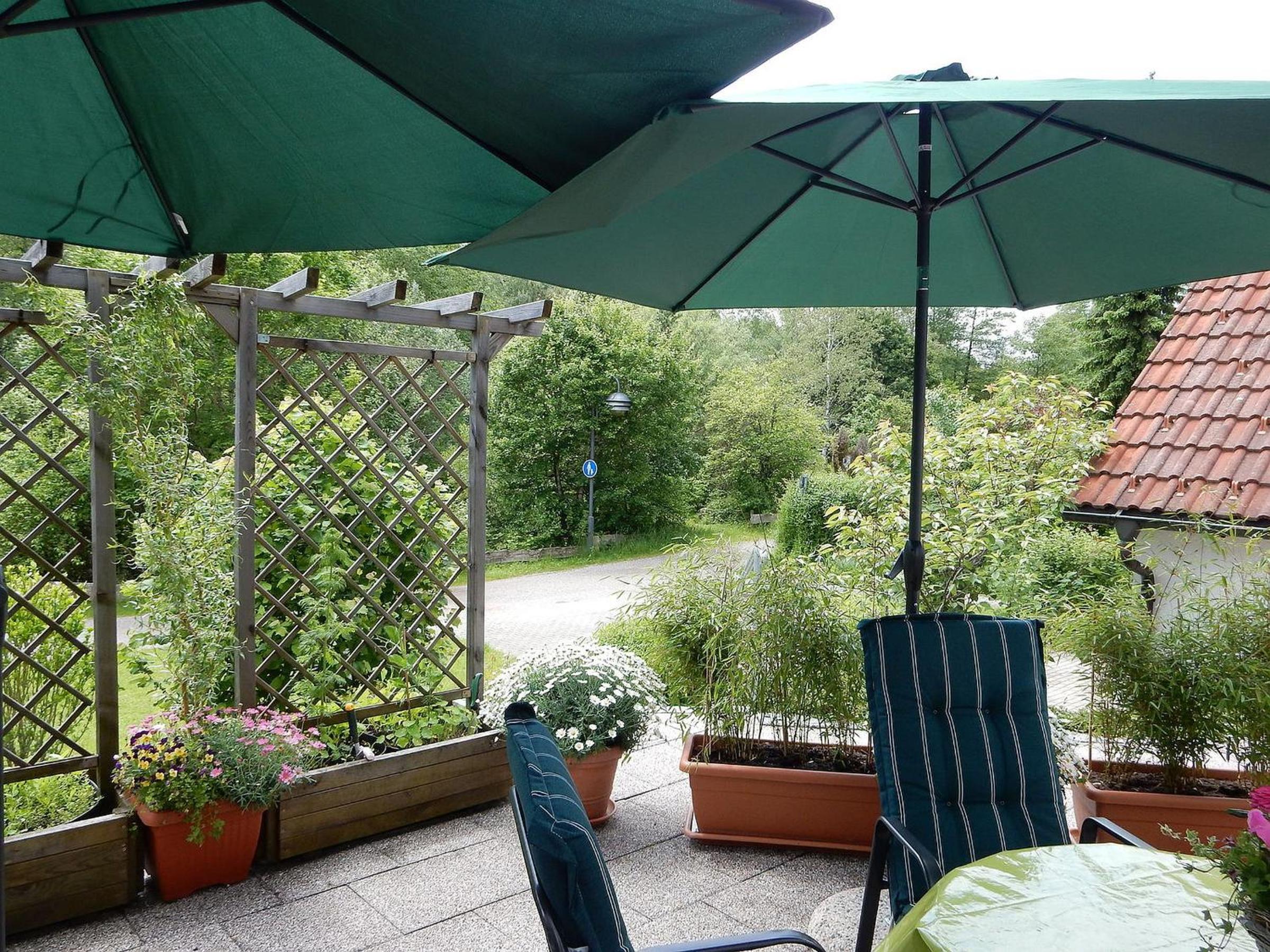 Ferienwohnung am Wildpflanzenpark view 2