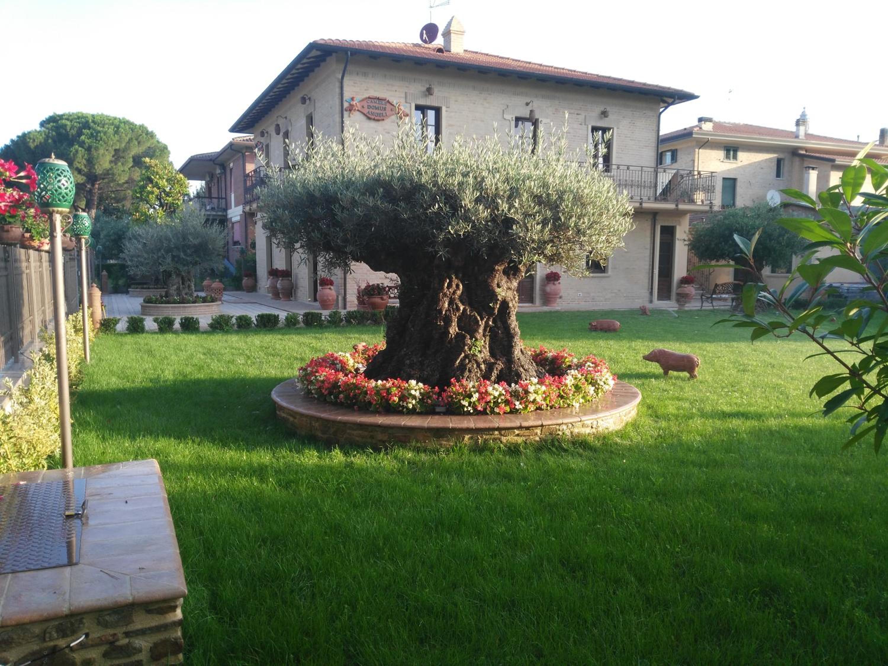 Domus Angeli