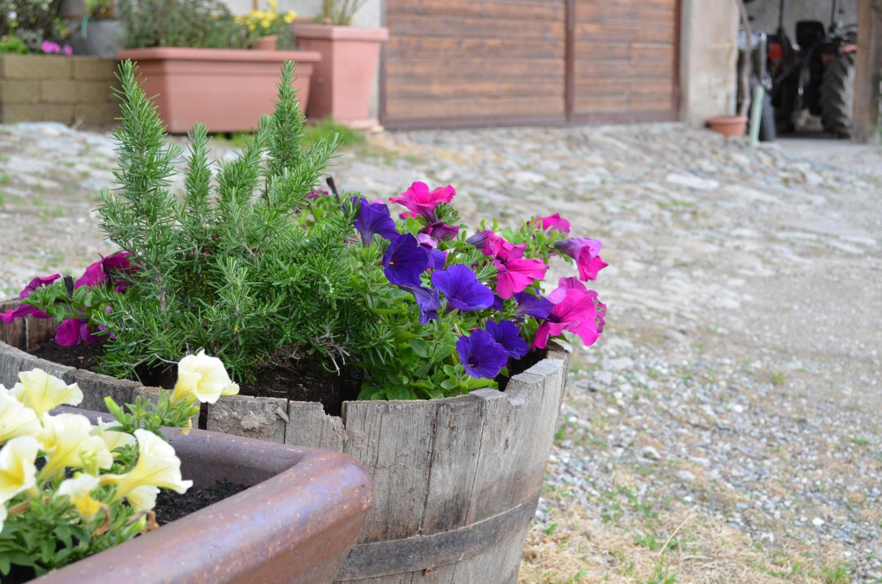 Photo 14