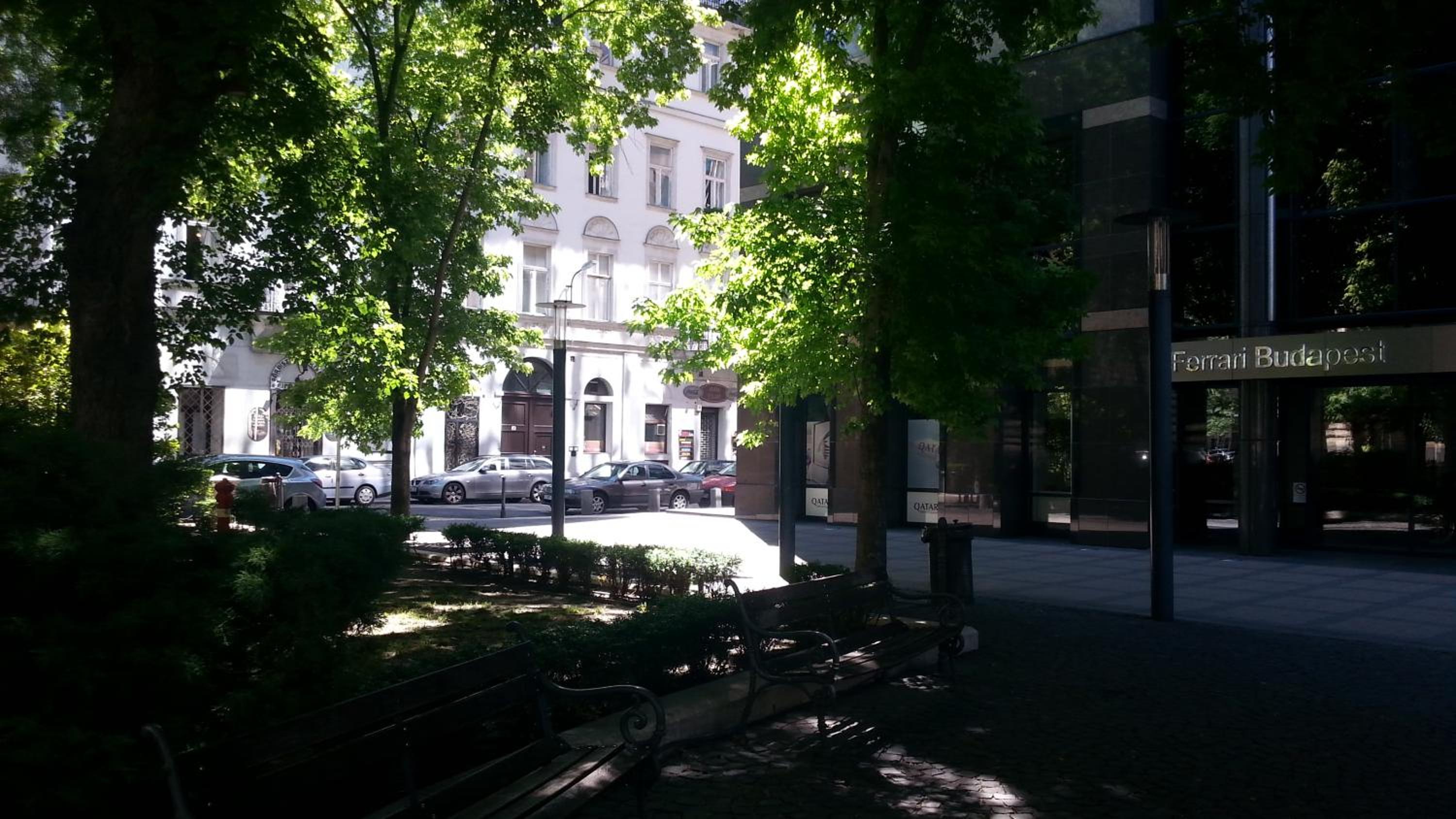 Photo 42