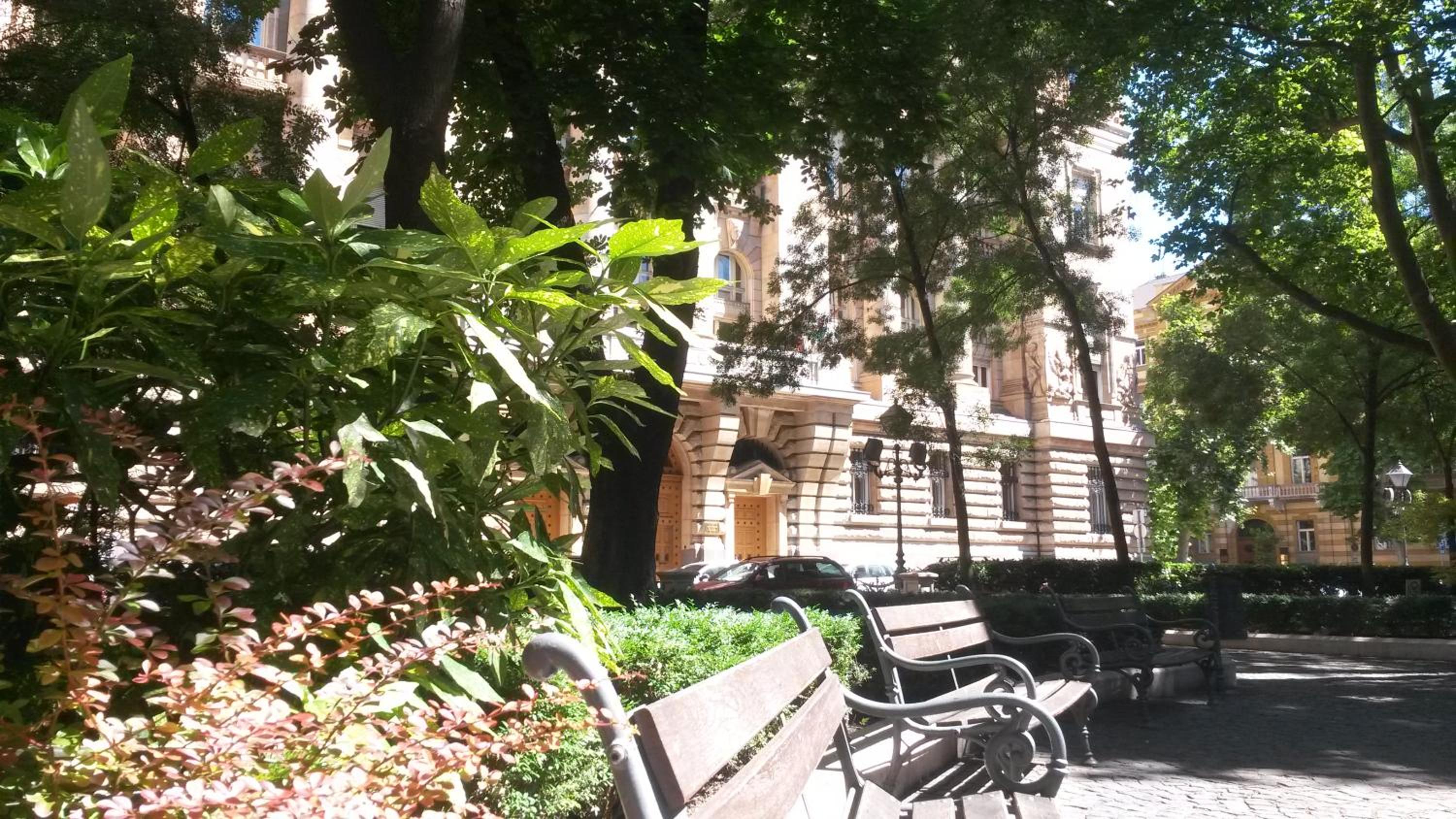 Photo 44