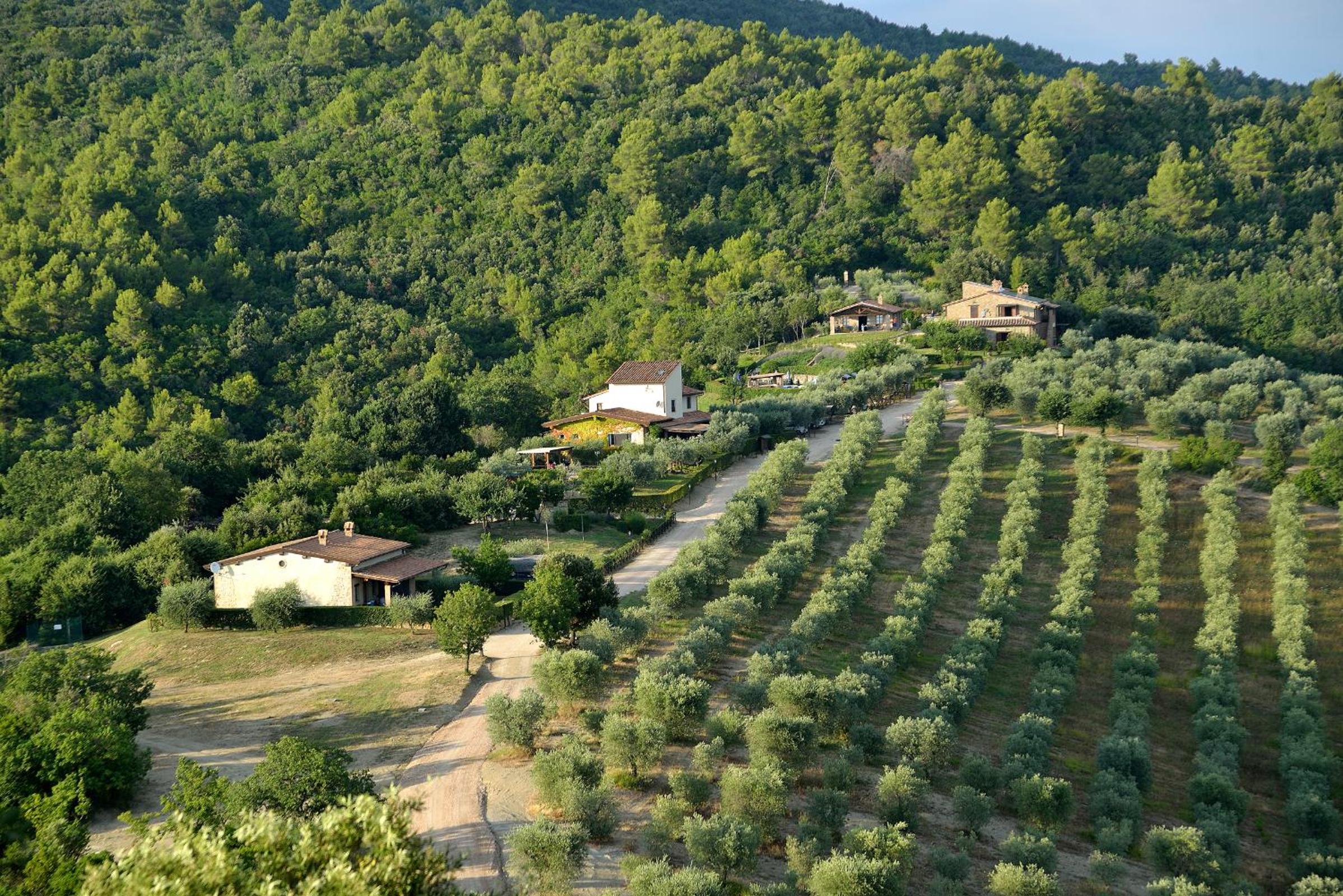 Tenuta di Forte Sorgnano