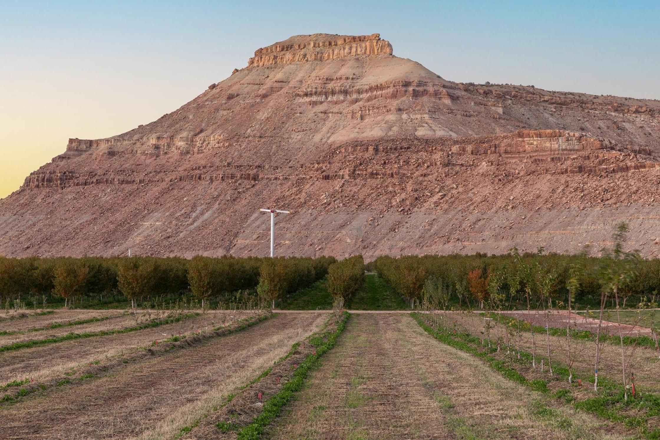 Honey Rock Landing