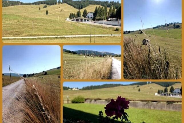 Altopiano di Asiago Apartment