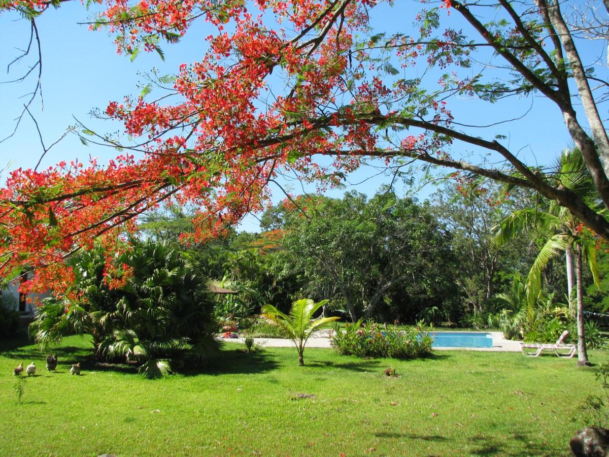Quinta Celeste