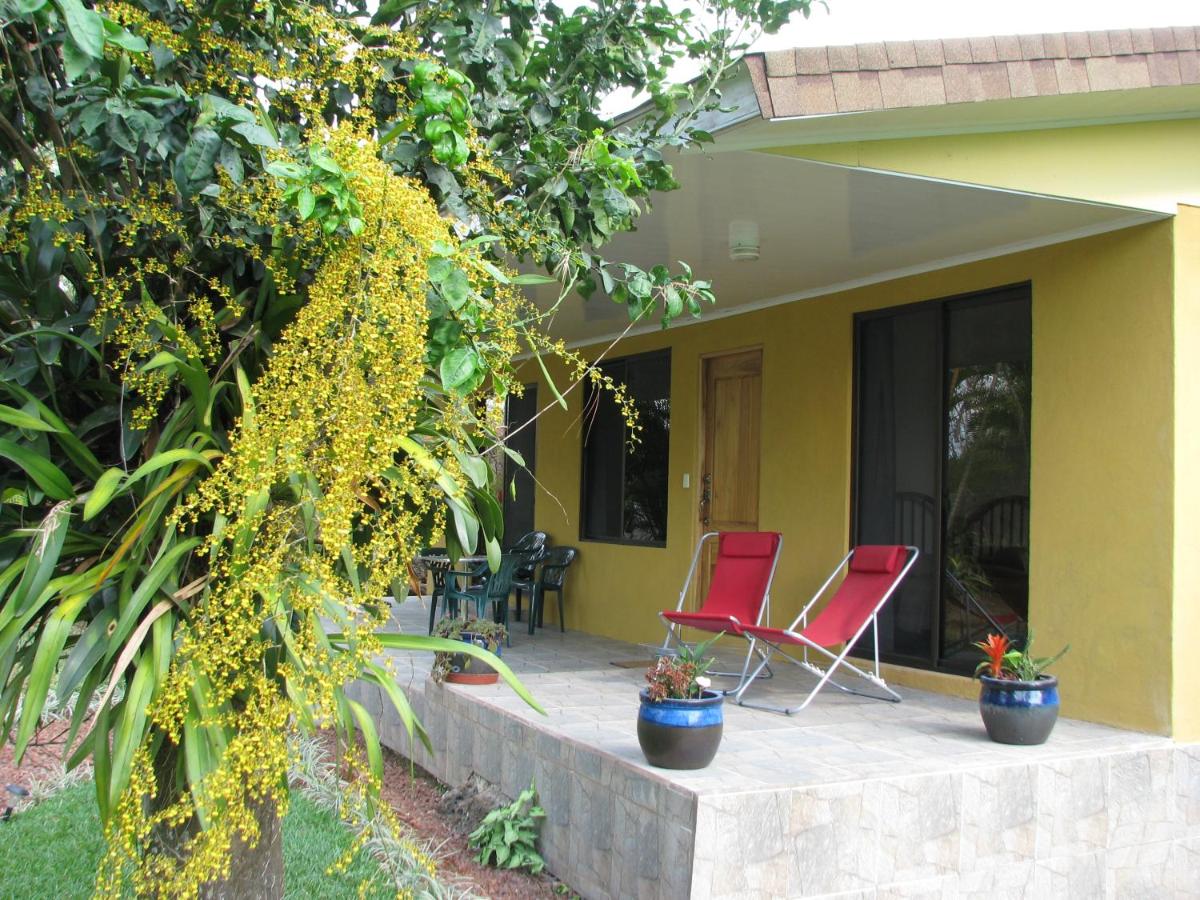 Quinta Celeste