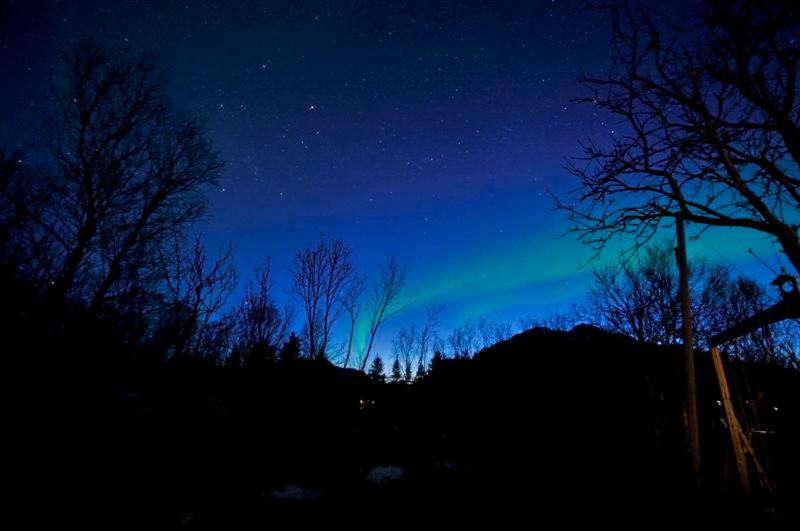 Holiday Home Lofoten view 2