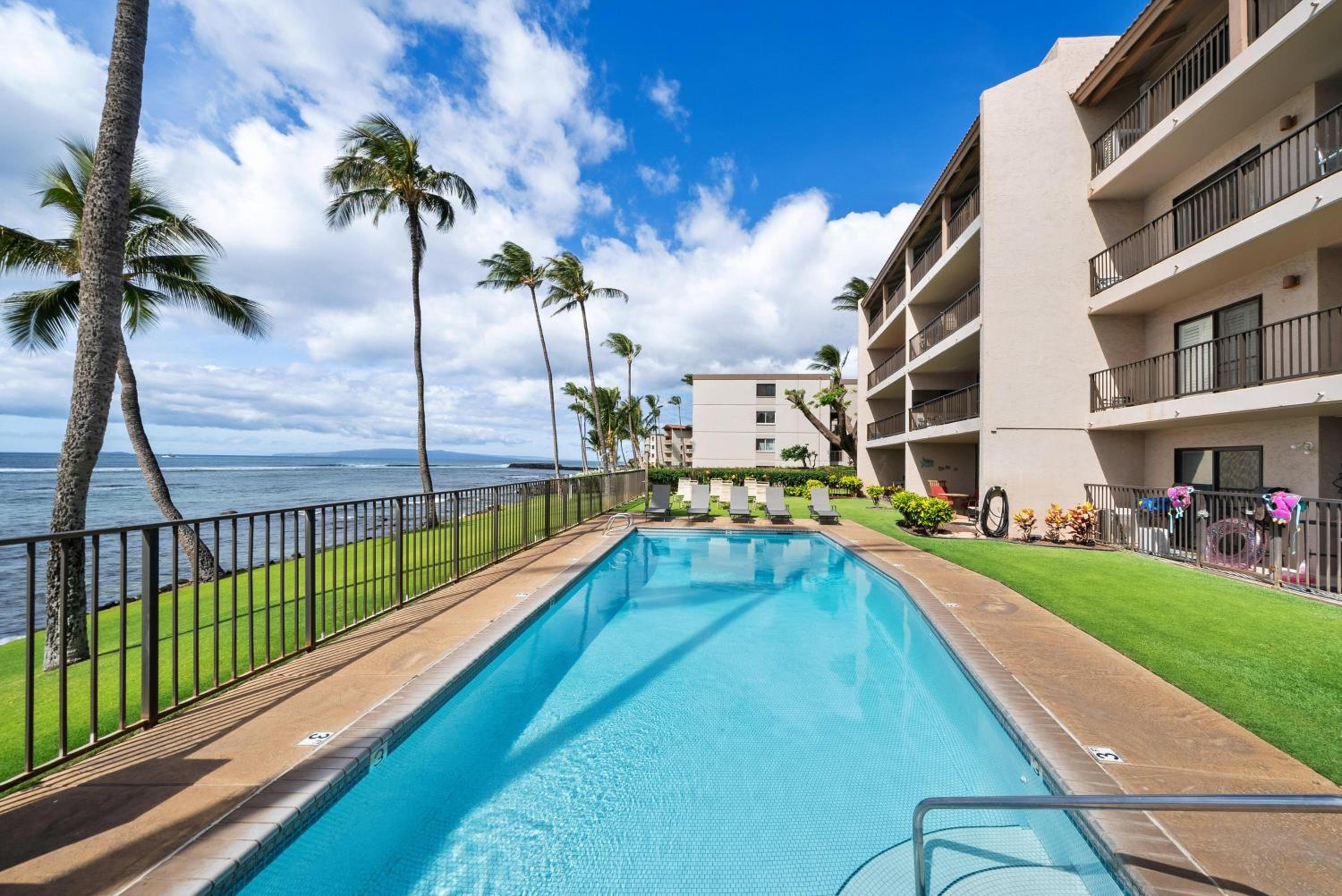 Lauloa 303
