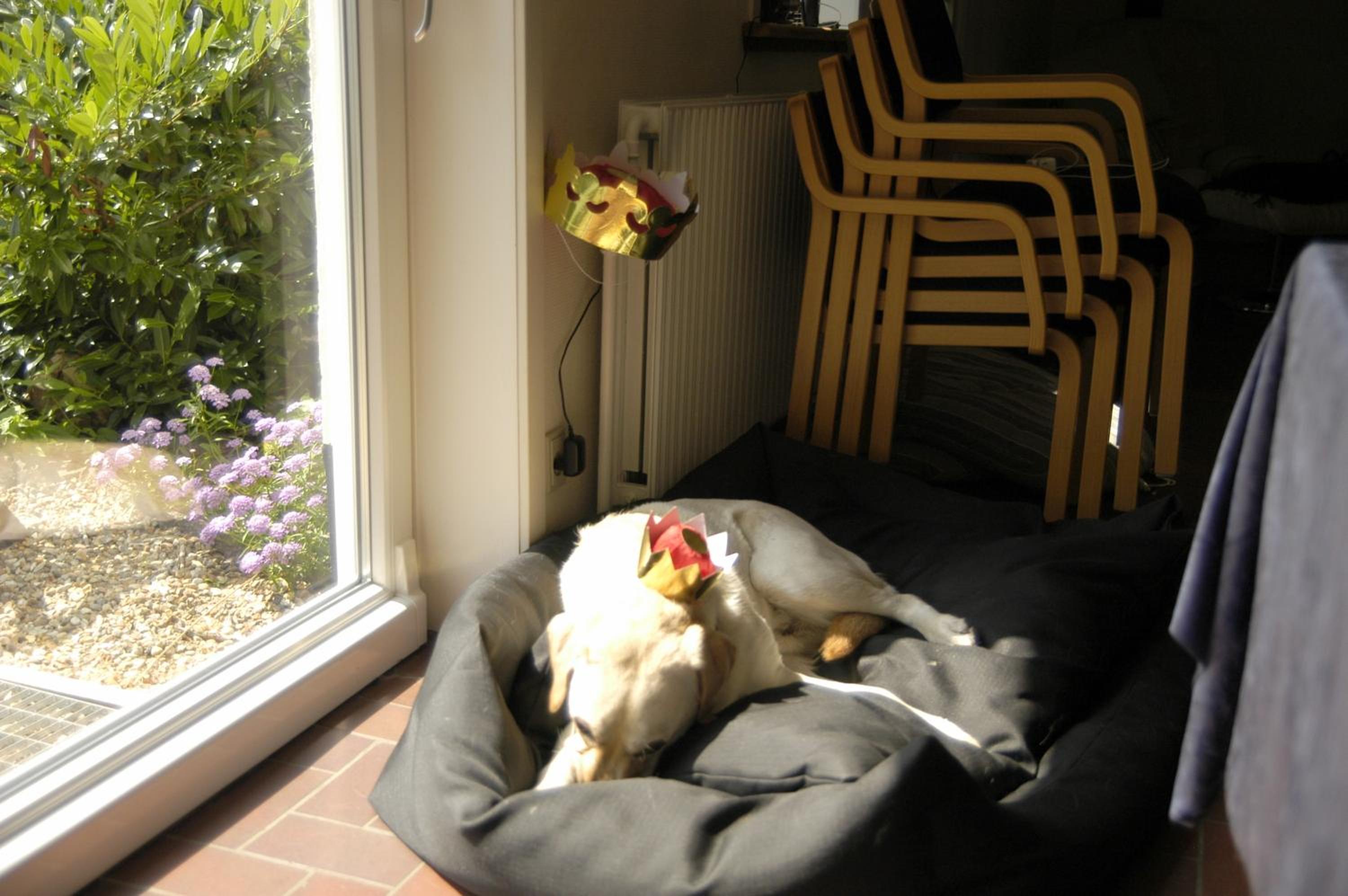 Henne Strand Ferie Accommodation