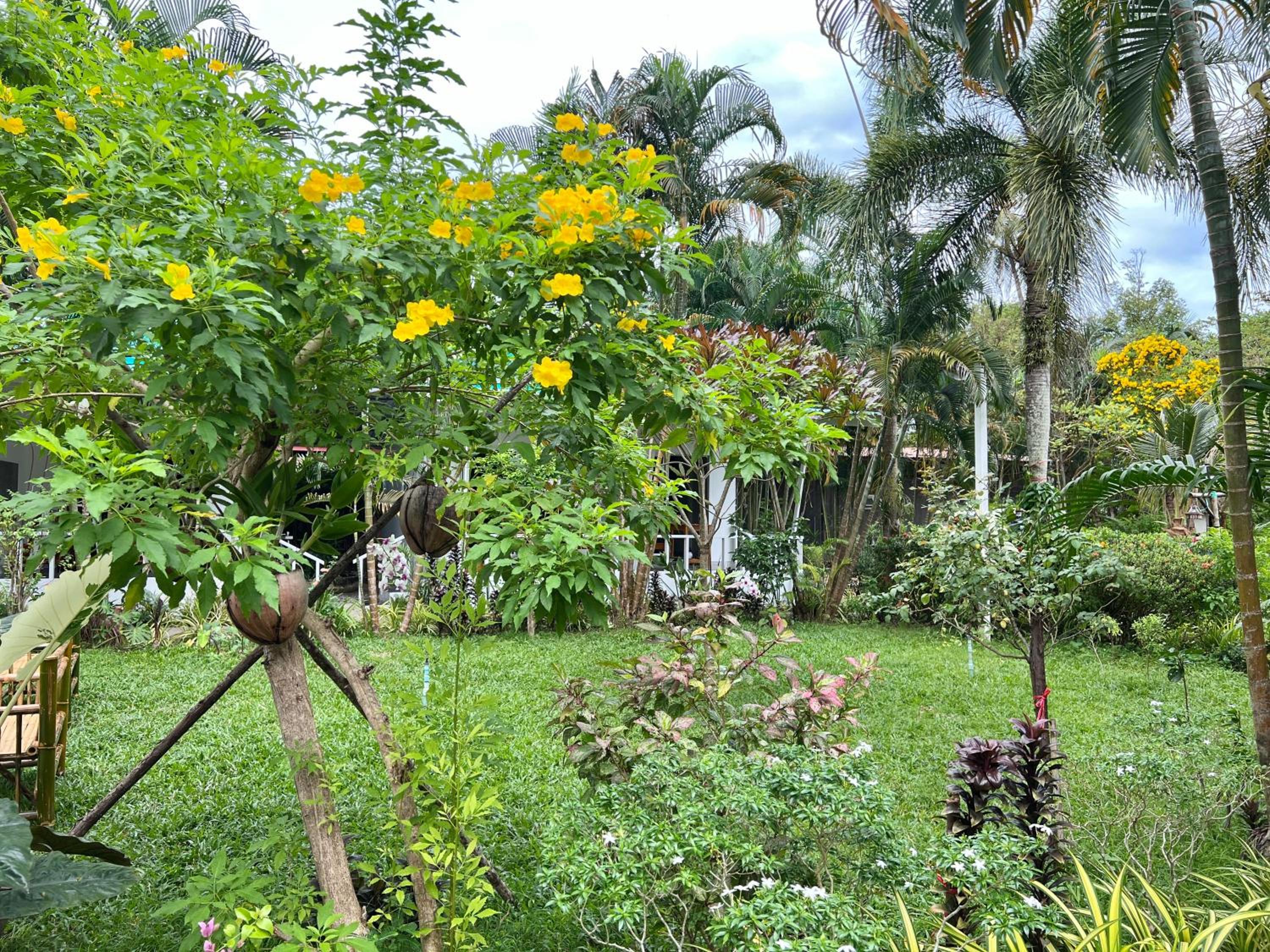 The Green Resort, photo 22