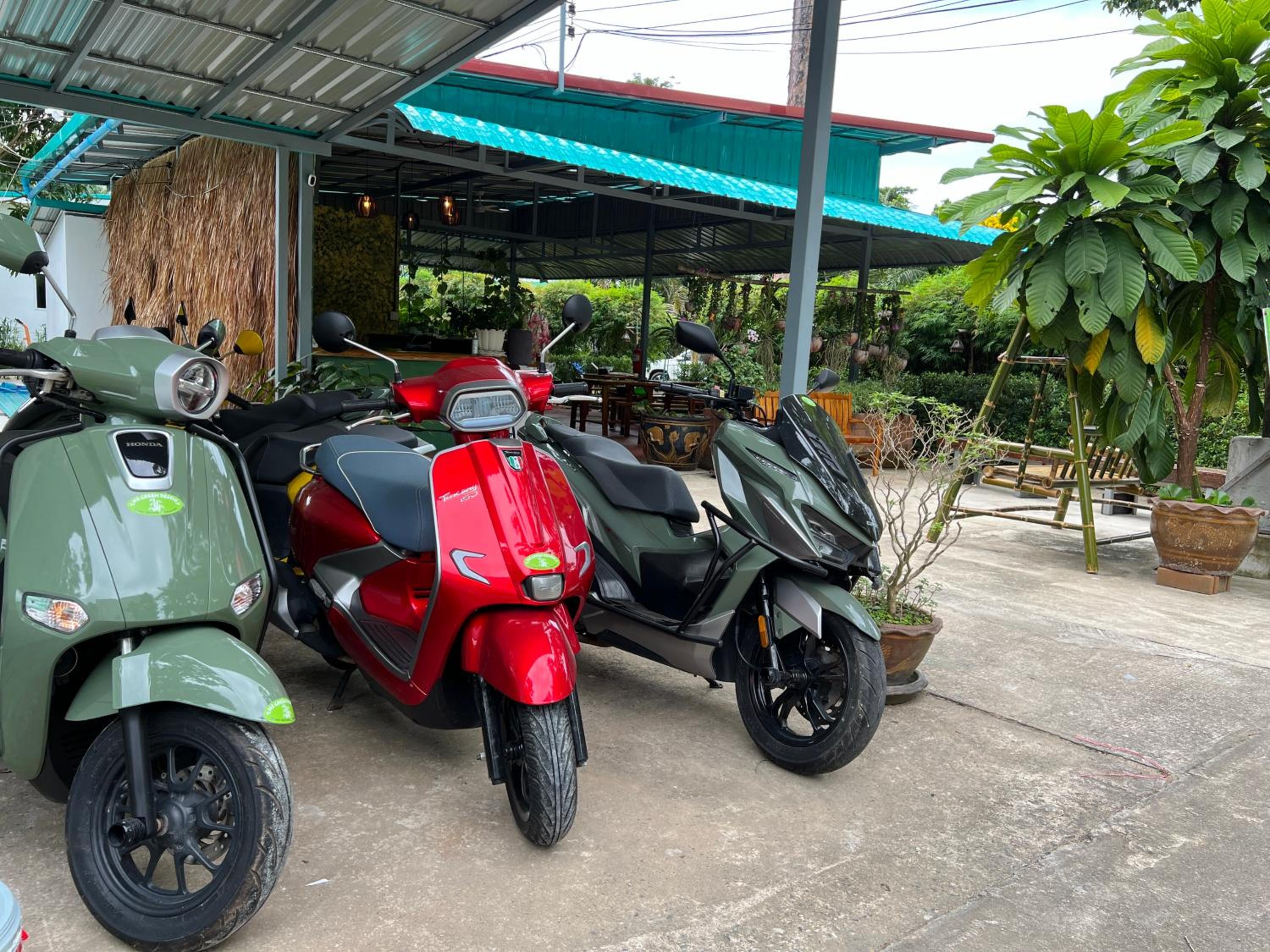 The Green Resort, photo 12