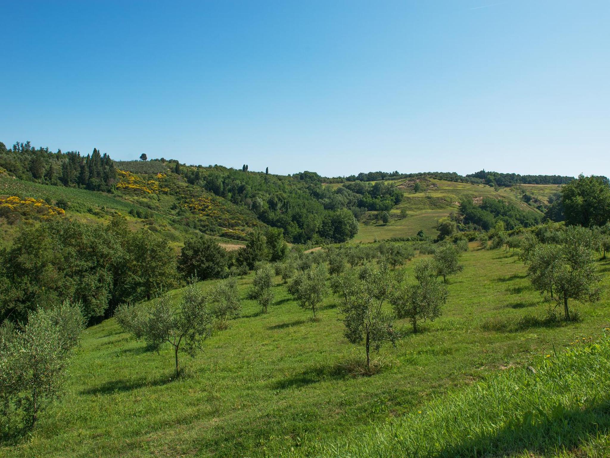 Relais Sassa al Sole