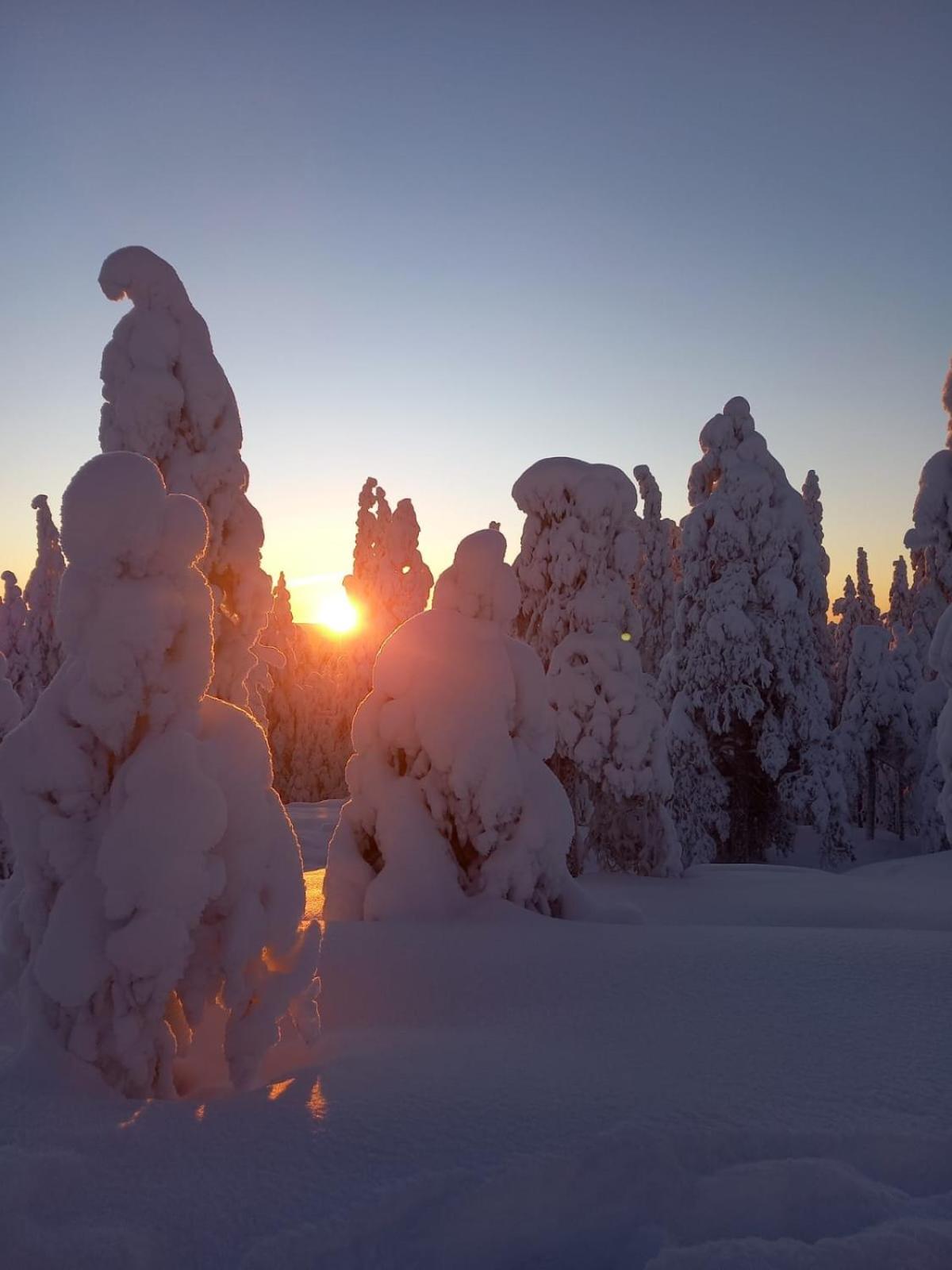 Arctic Willamo Studio- Rovaniemi