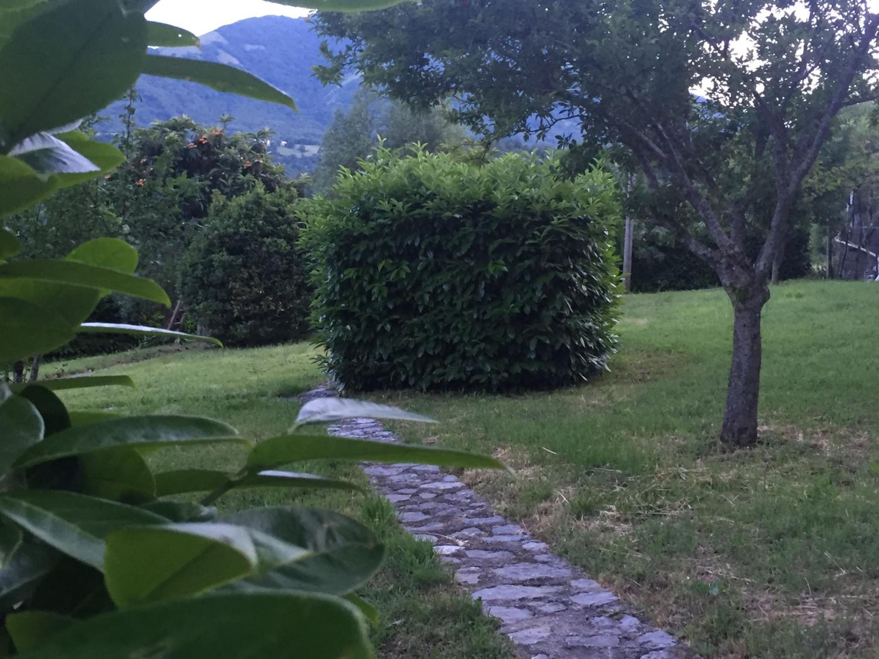 Photo 27