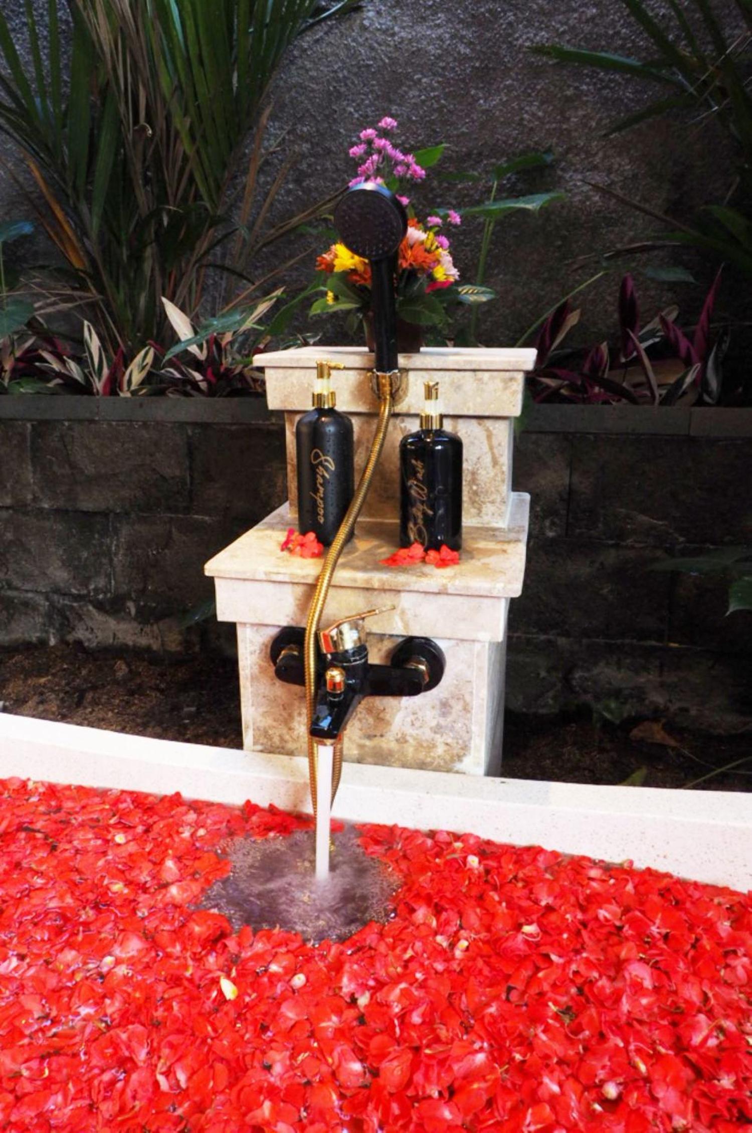 Mahanidhi serene villa ubud