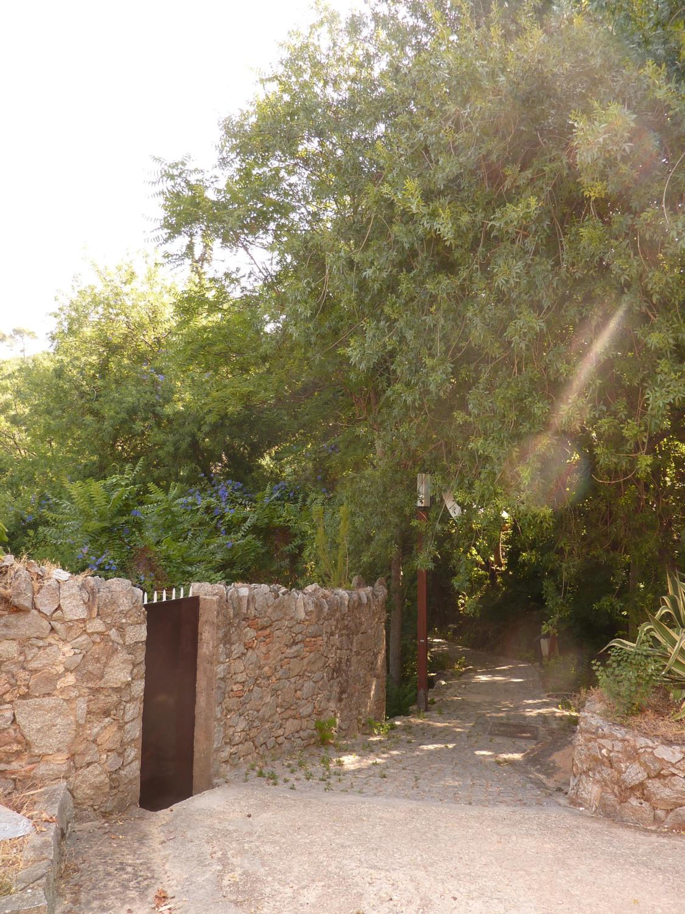 Photo 37