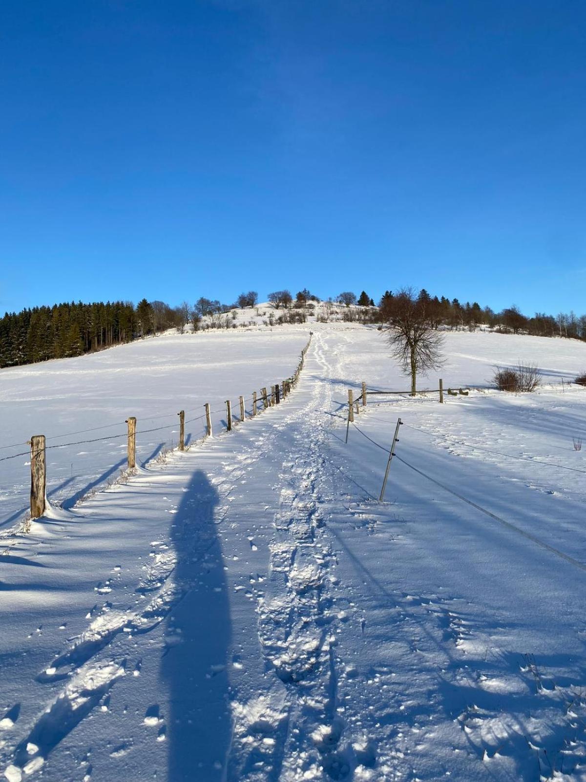 Naturquartier am Osterkopf Ferienwohnung Willingen Usseln