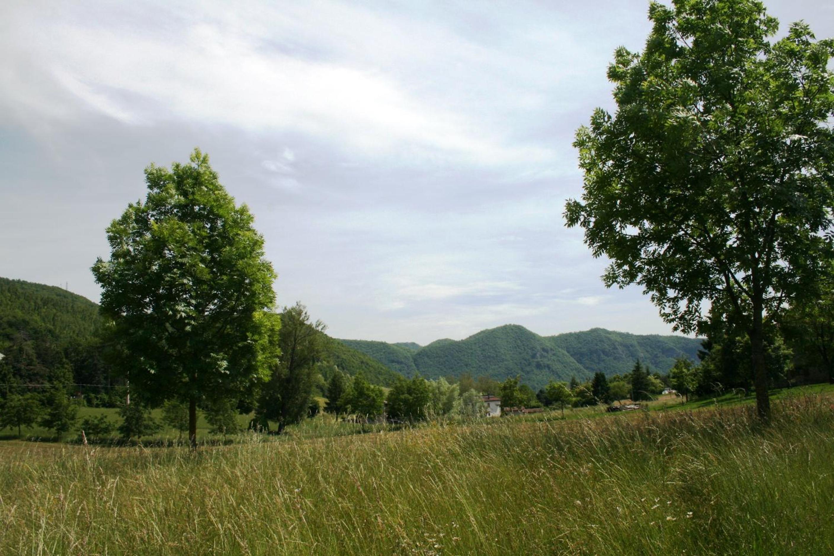 Photo 33