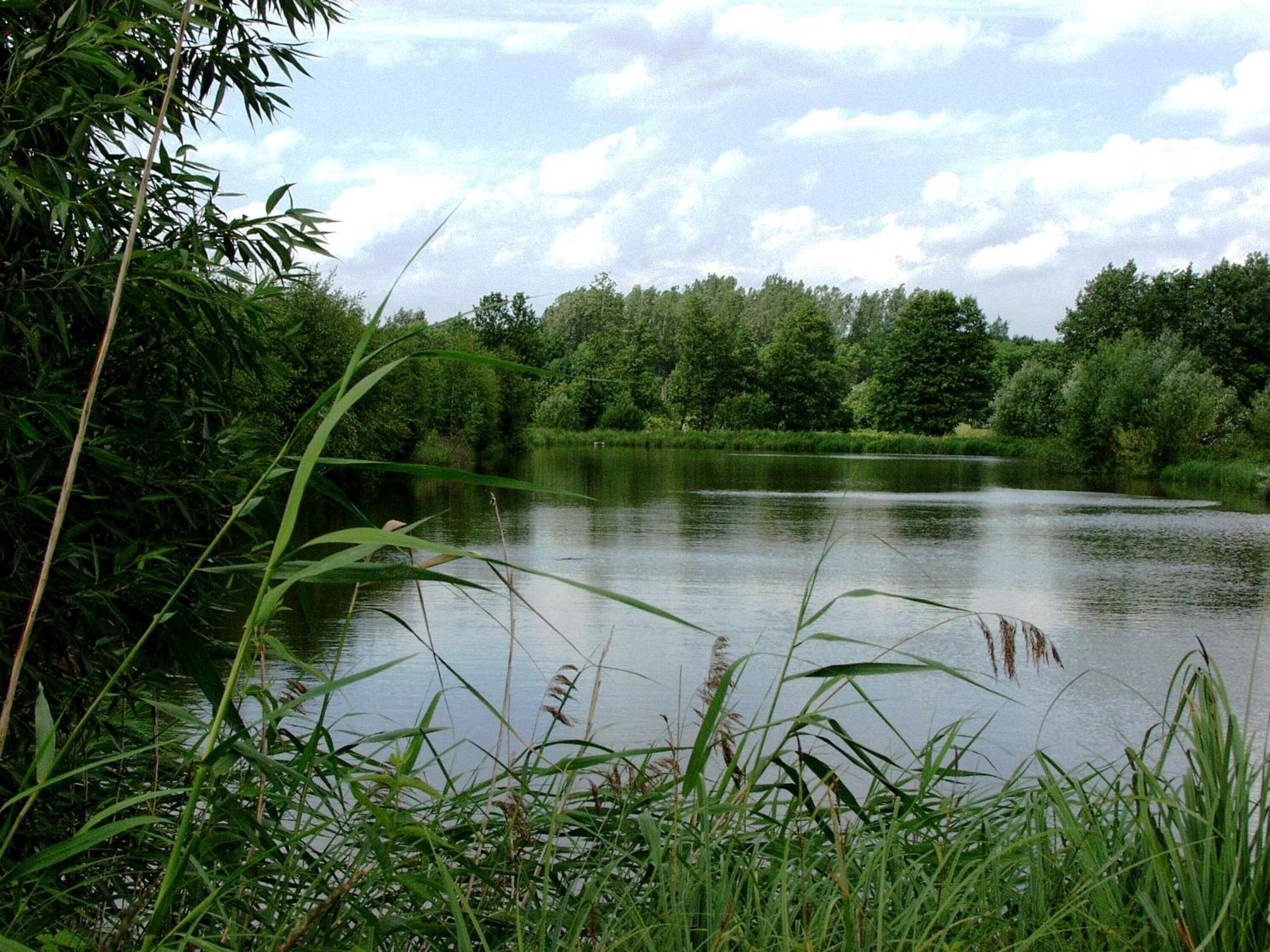 Photo 34