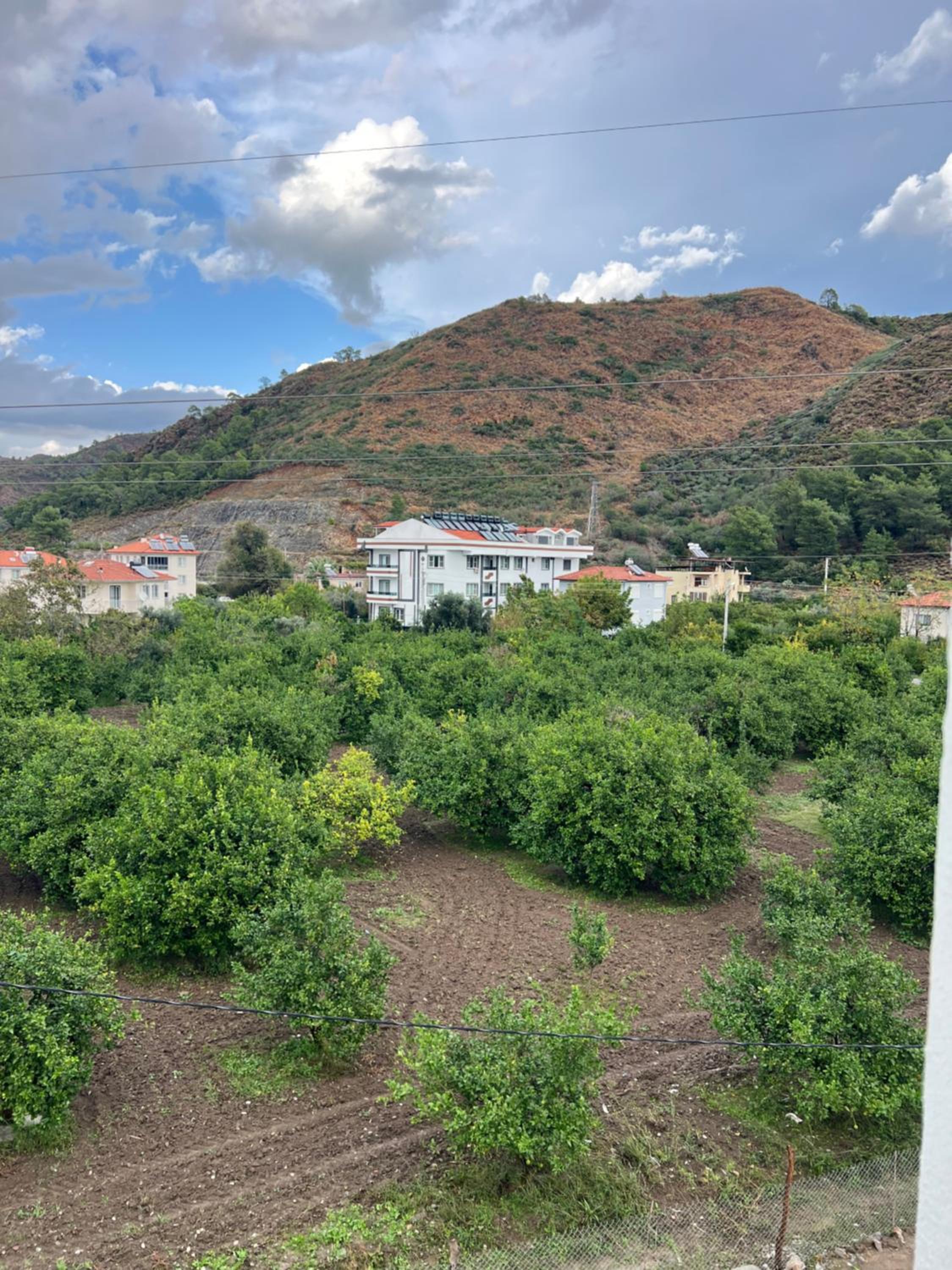 Mirşah SUİT