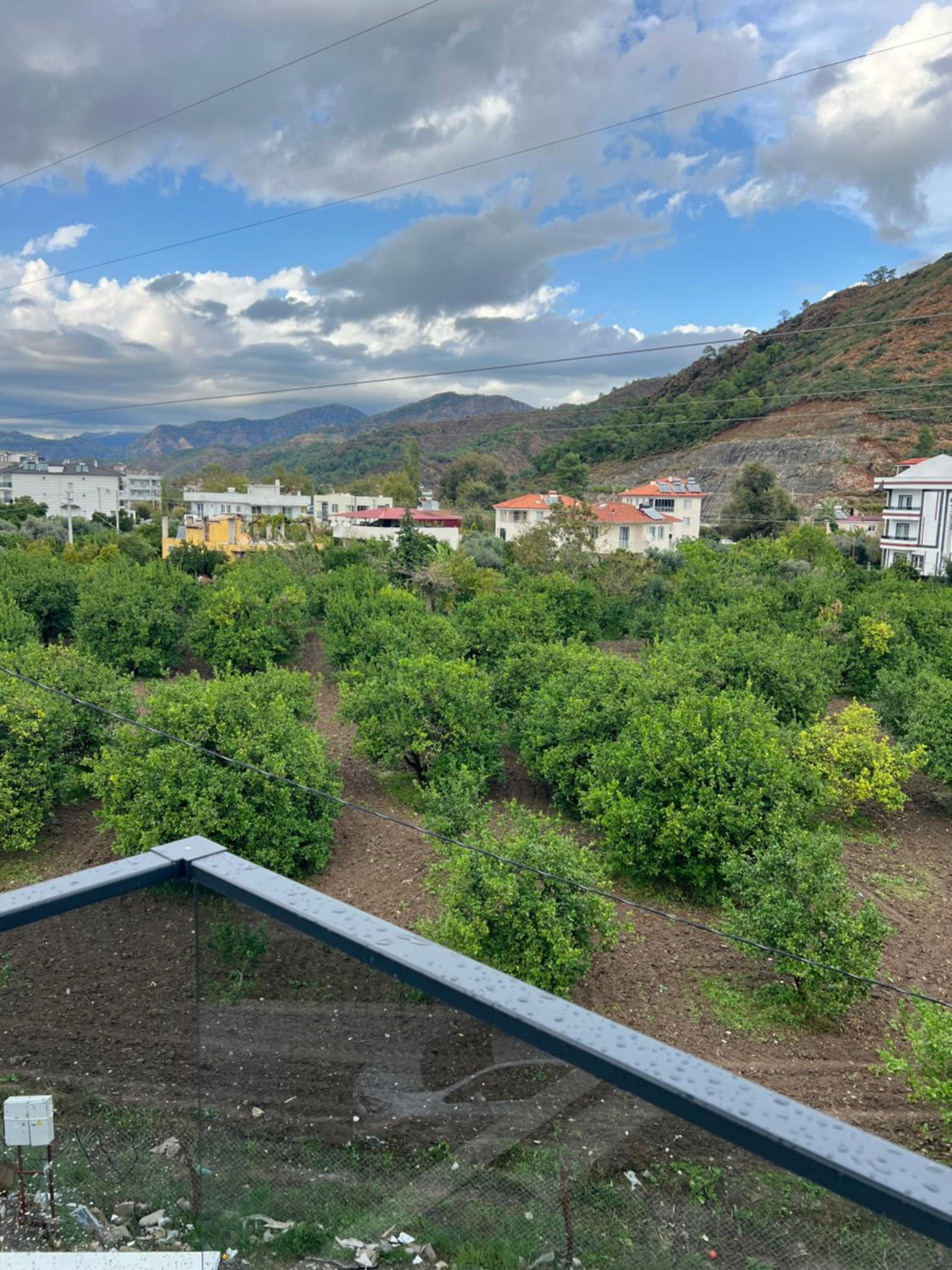 Mirşah SUİT
