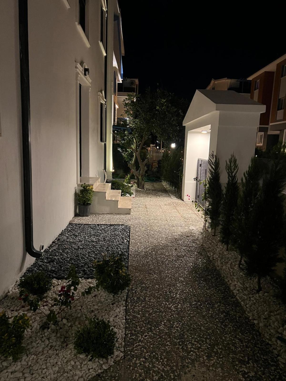 Mirşah SUİT