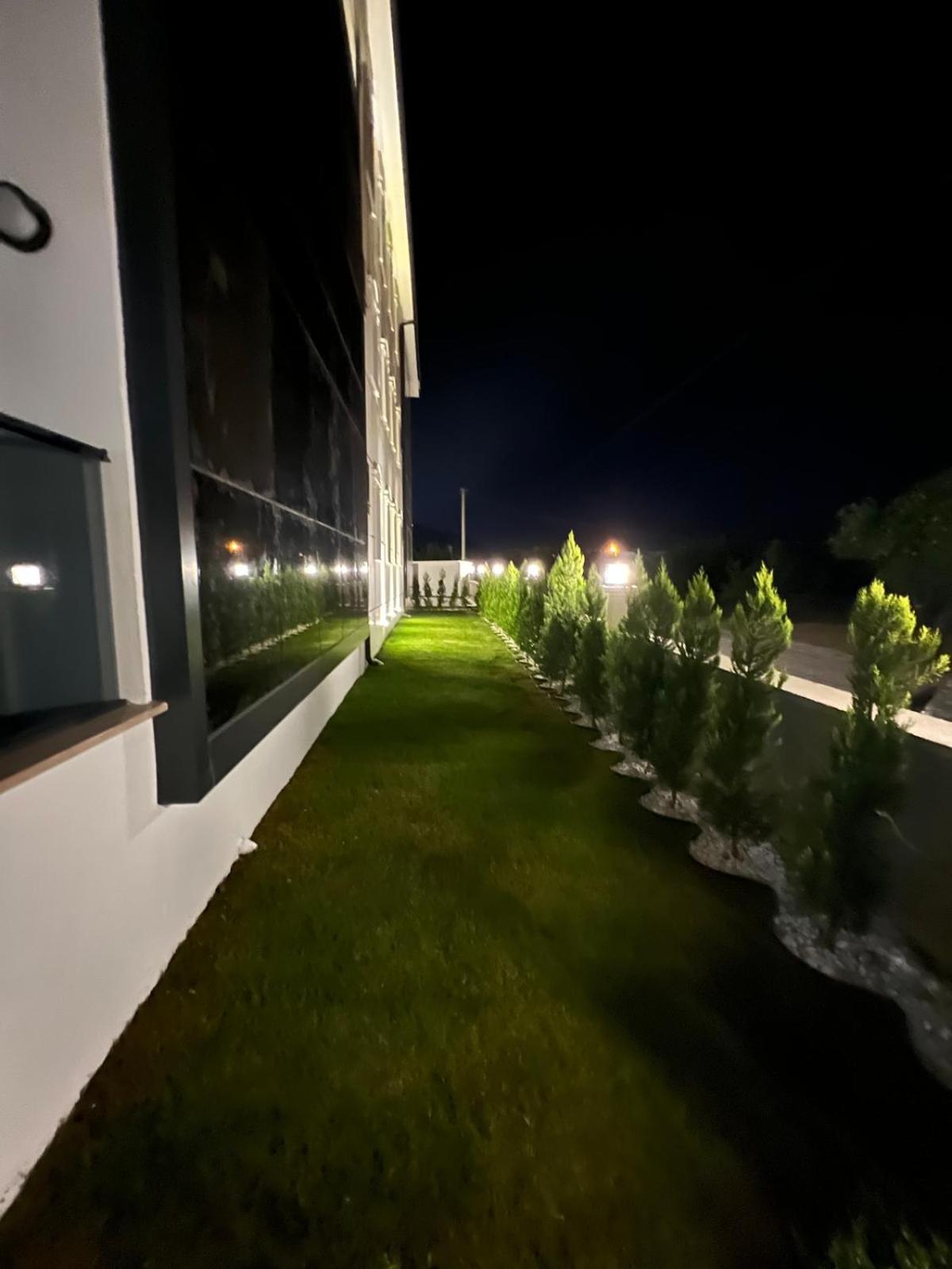 Mirşah SUİT