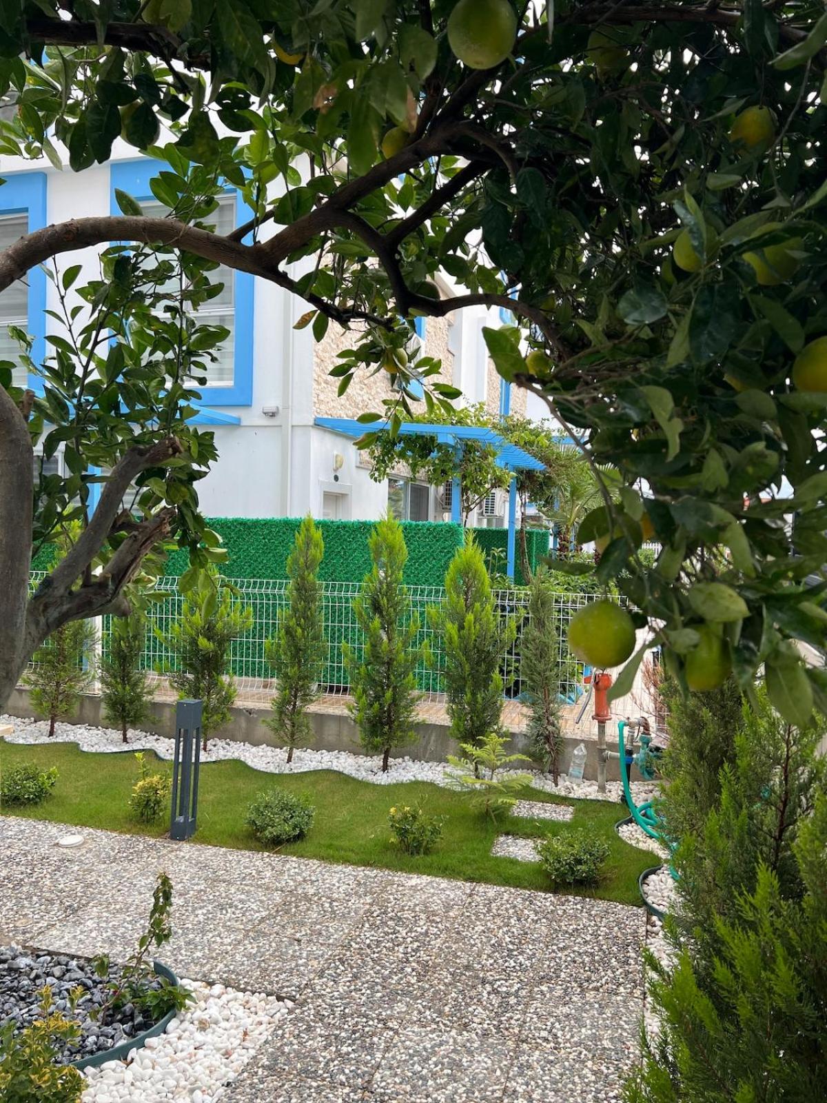 Mirşah SUİT