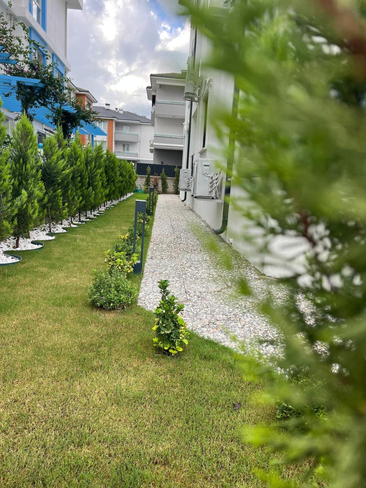 Mirşah SUİT