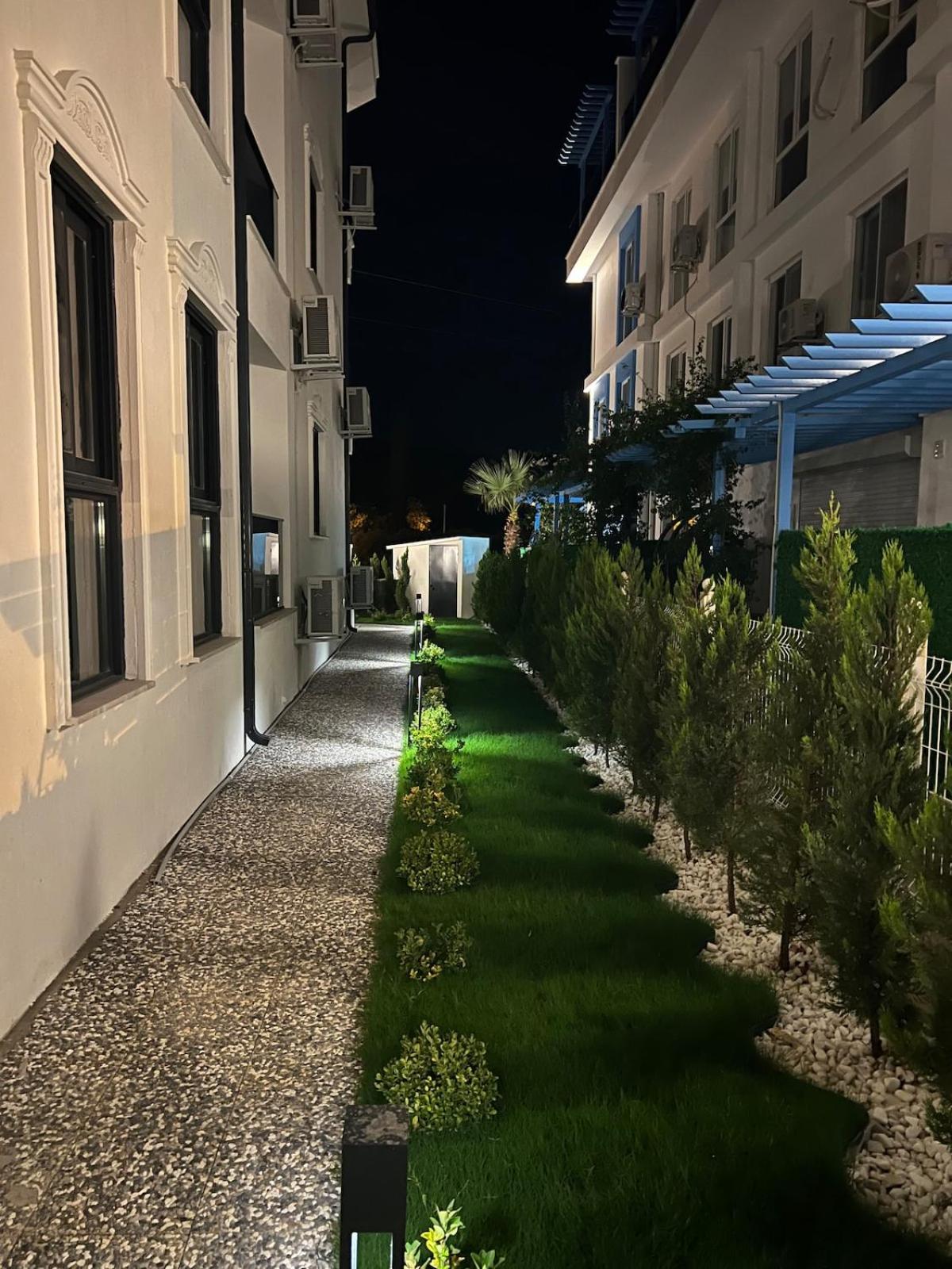 Mirşah SUİT