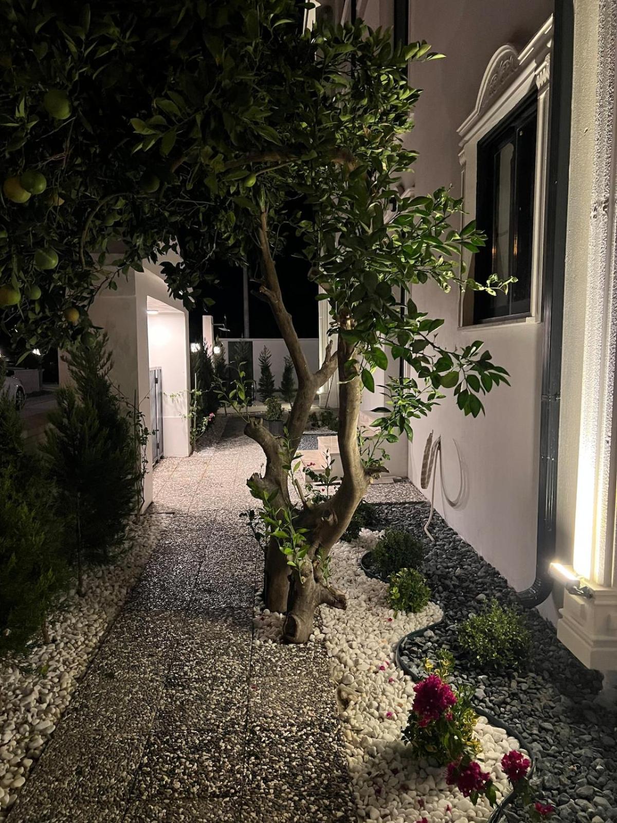 Mirşah SUİT