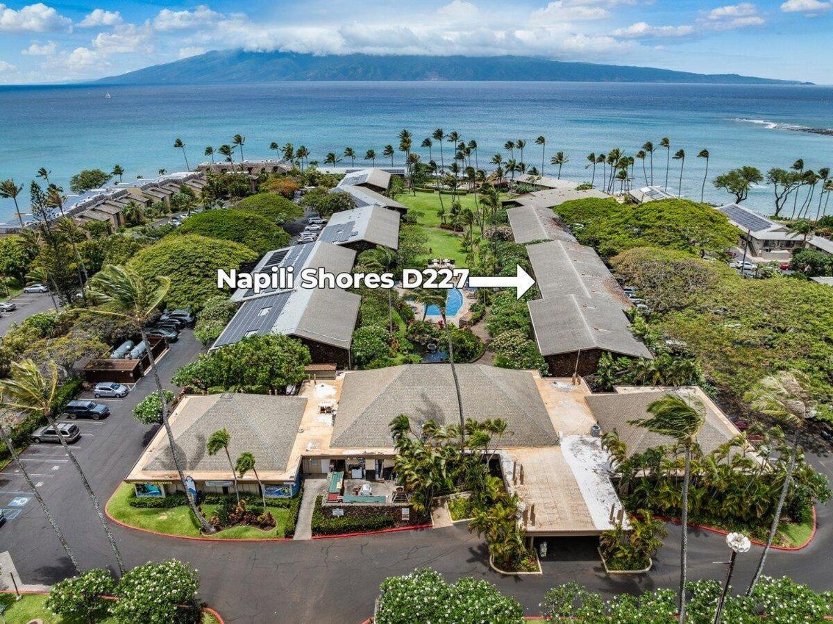 Napili Shores D227 · NS D227 OceanFront Resort w Pool