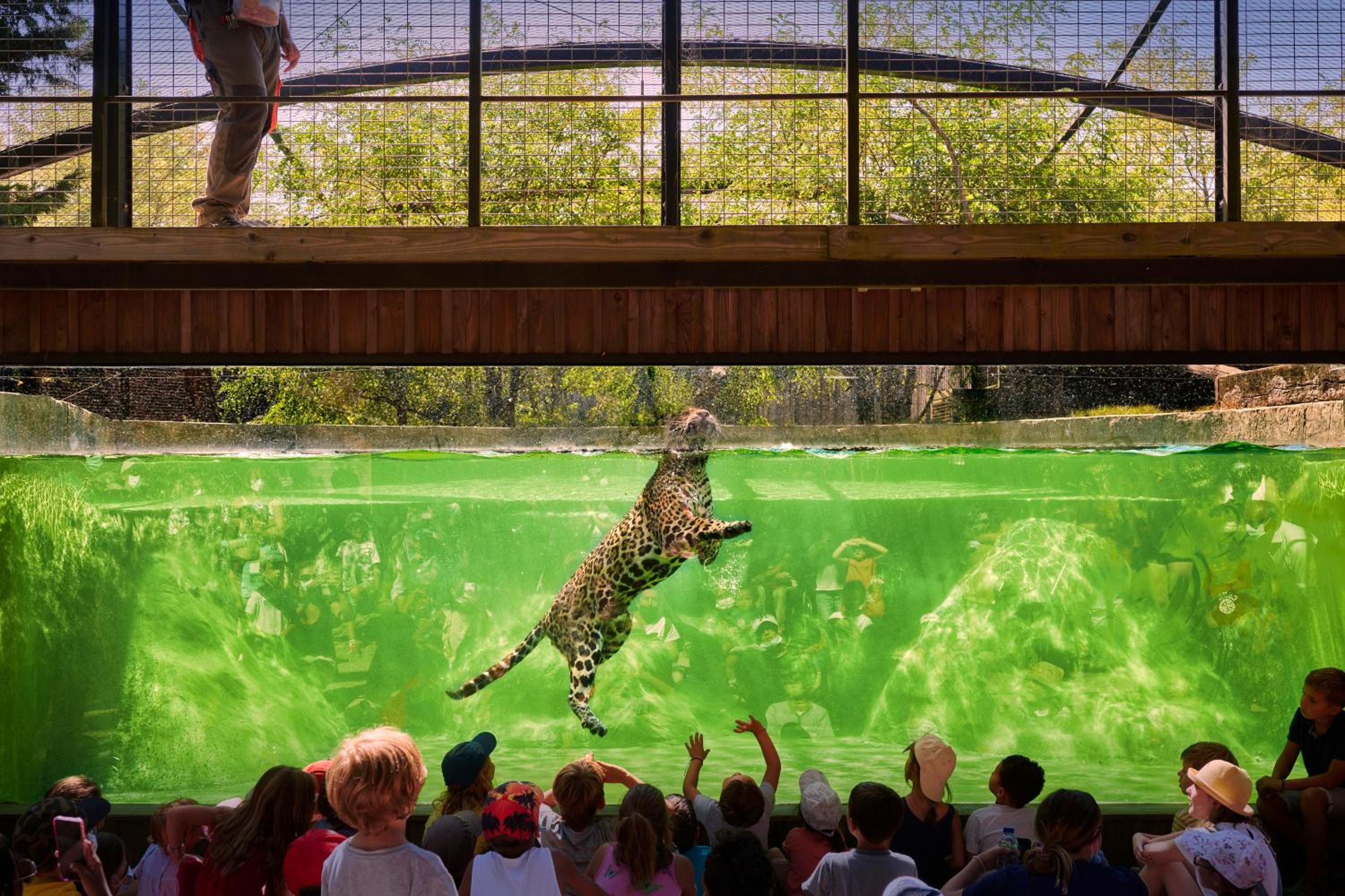 Night experience - Lodge By Zoo Bordeaux Pessac