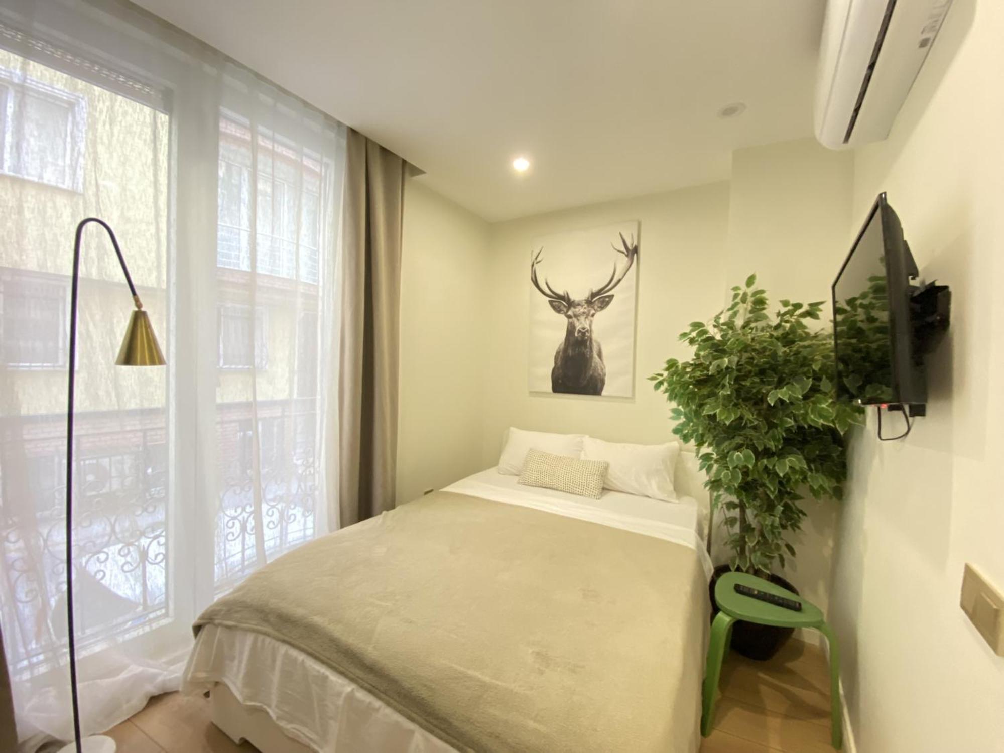 Stylish Studio with Golden Horn Charm