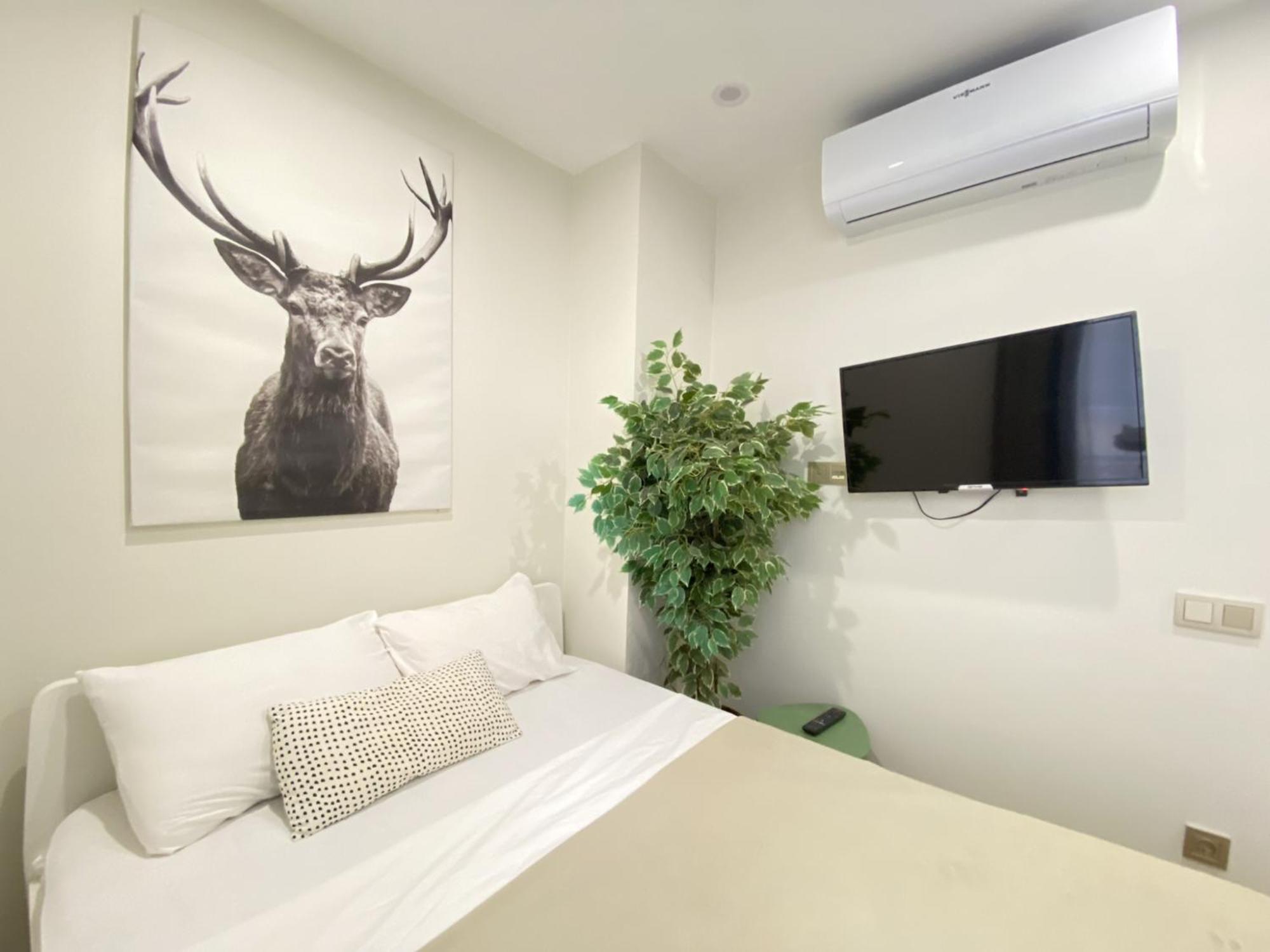 Stylish Studio with Golden Horn Charm